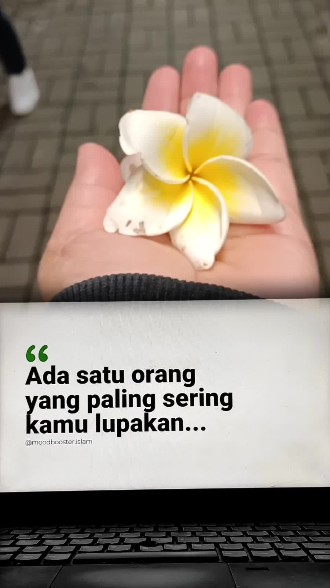 @🌺ℂ𝕒𝕝𝕠𝕟 𝕁𝕖𝕟𝕒𝕫𝕒𝕙🌺