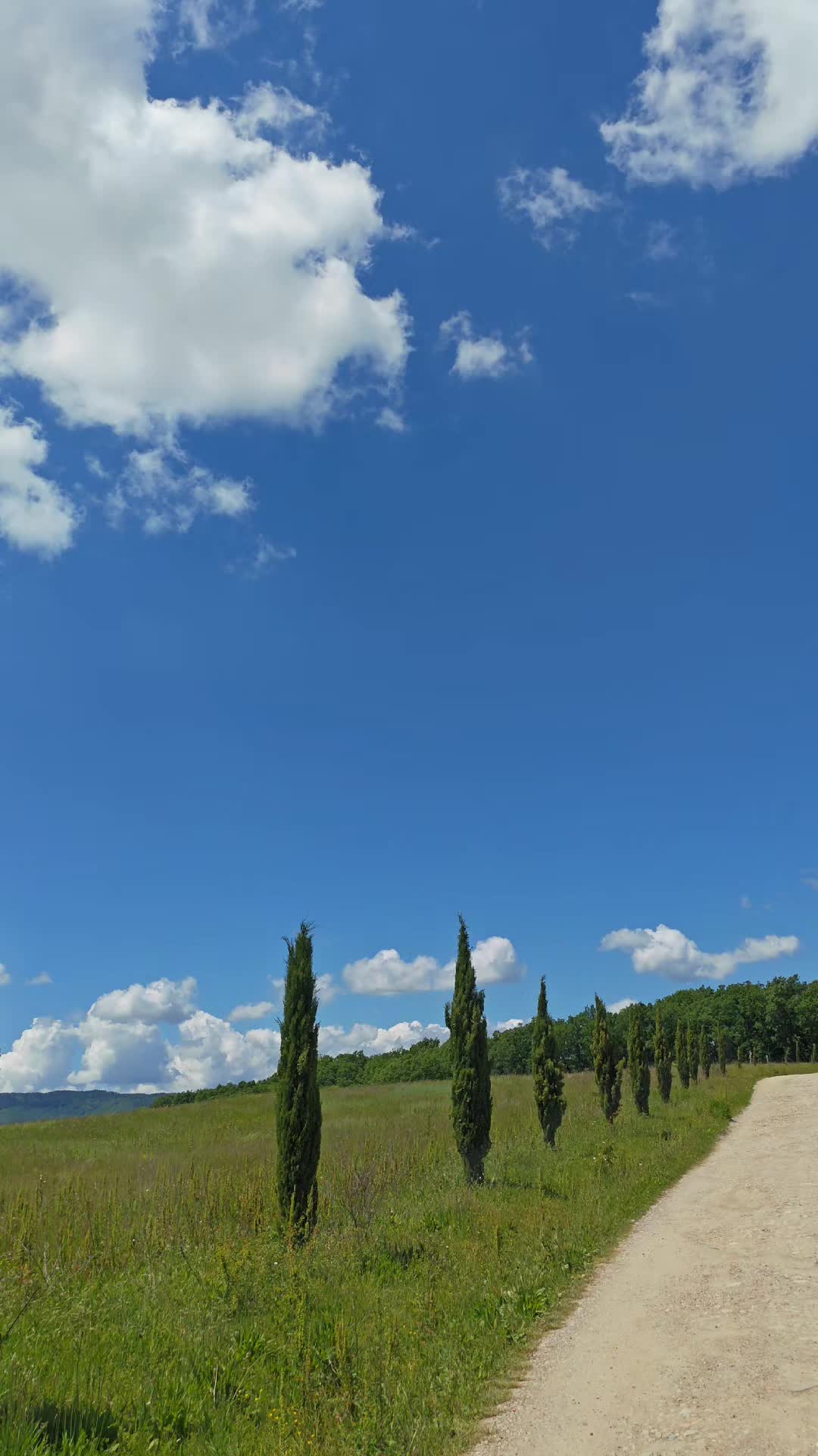 @DOMME🇮🇹TikTok✨✨✨