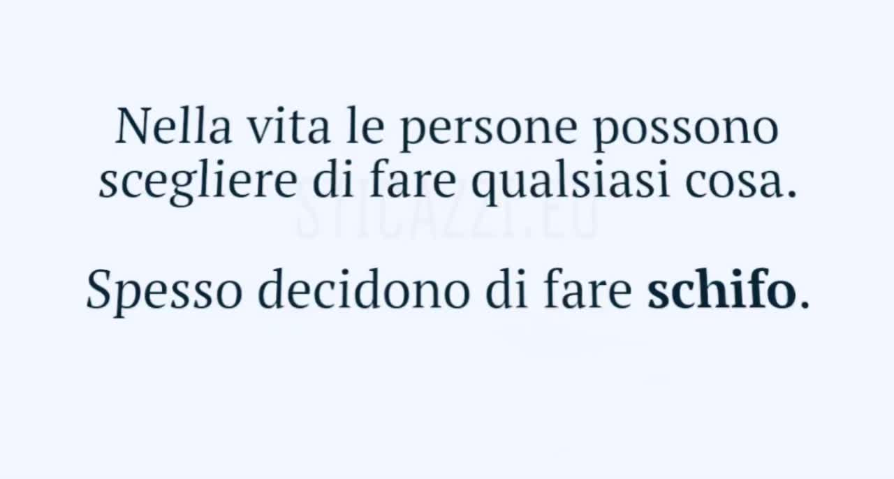 @brunopizzarelli2455