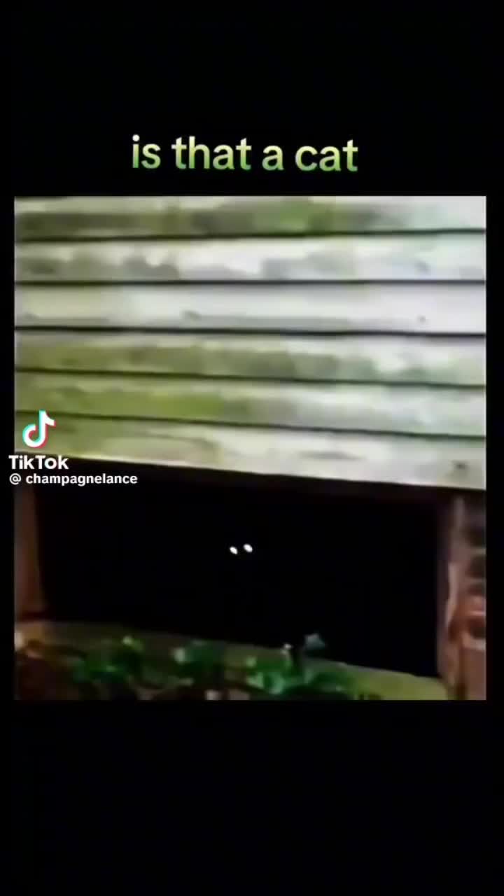 @VinnyBell26