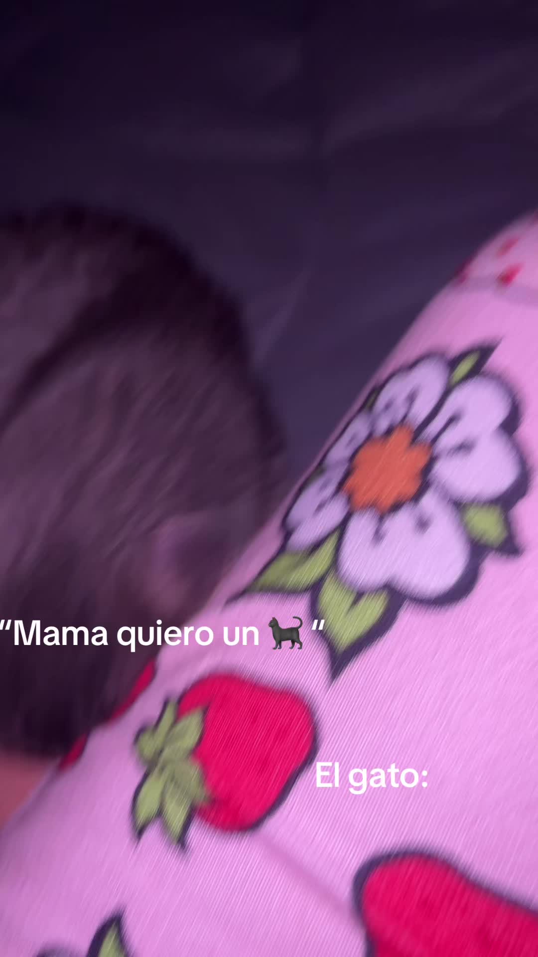 @Selene Sifuentes