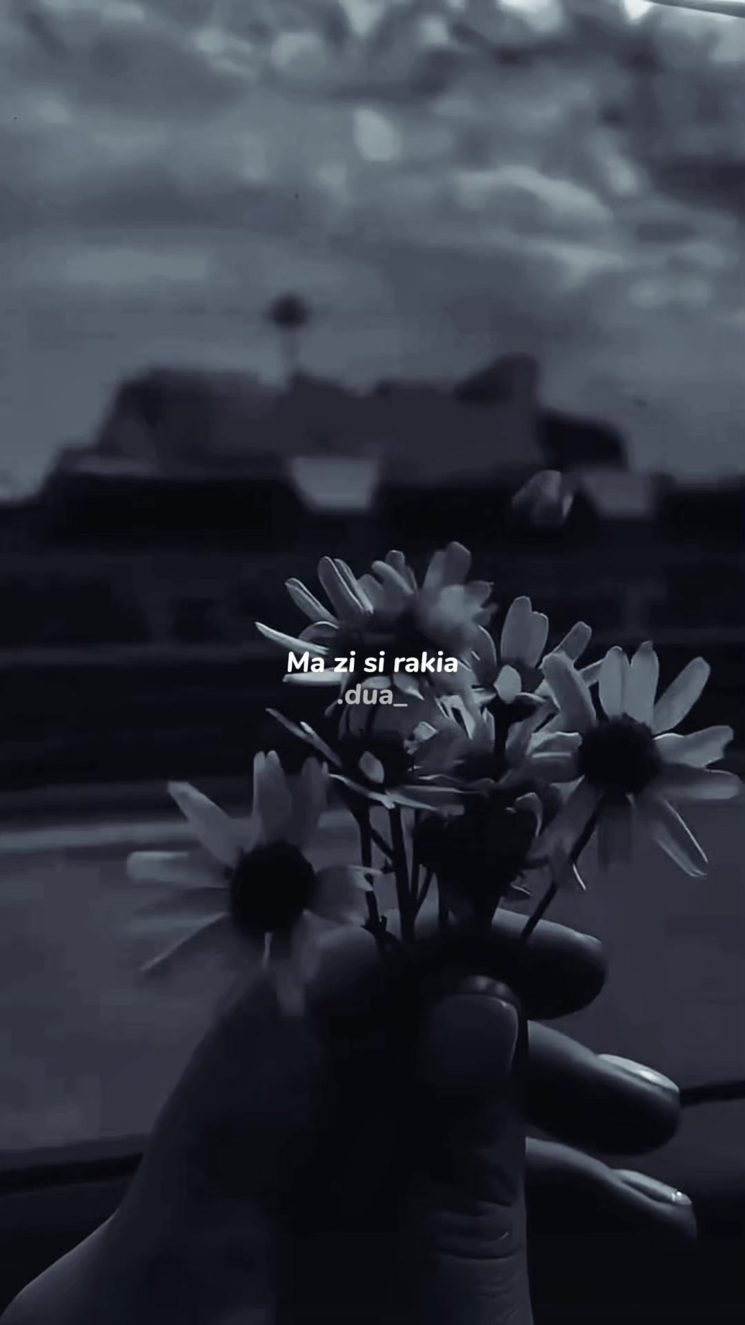 @𝗗 𝗨 𝗔