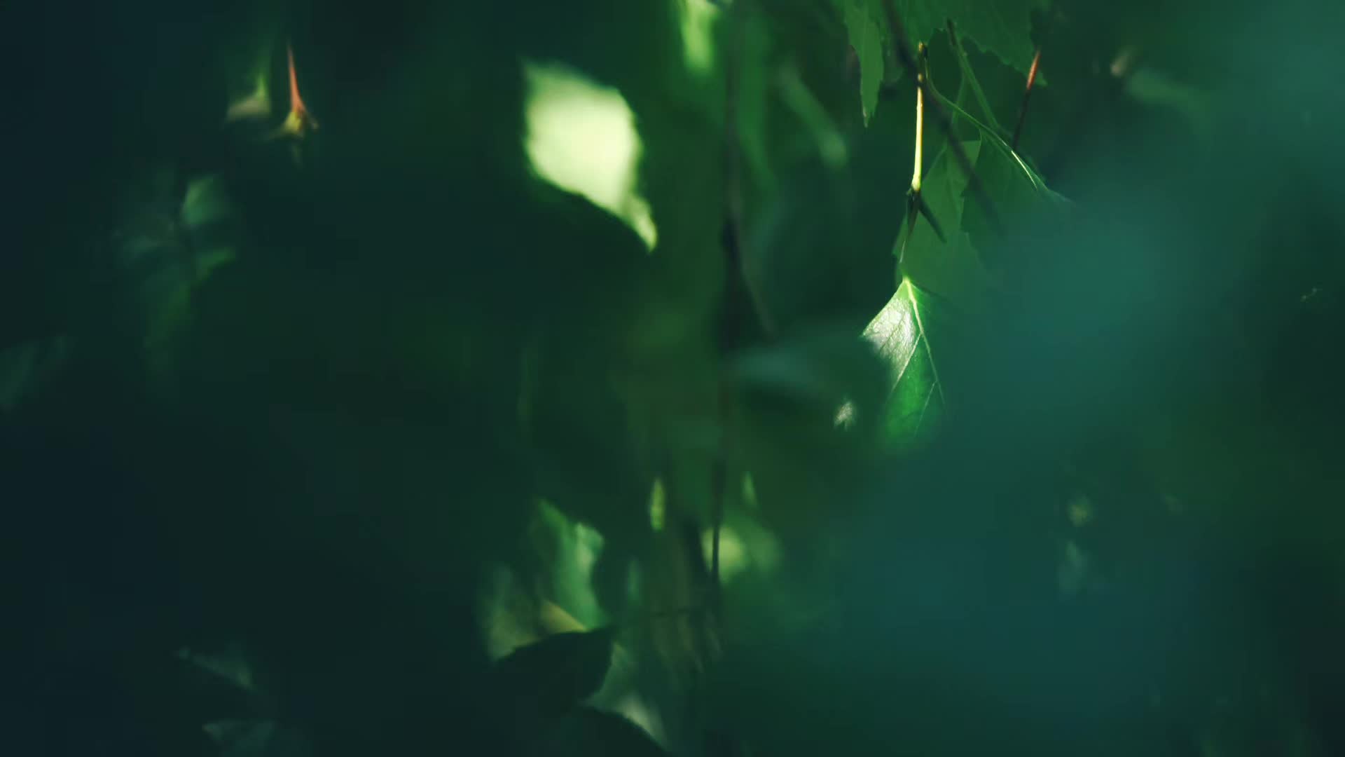 @mer_graphy