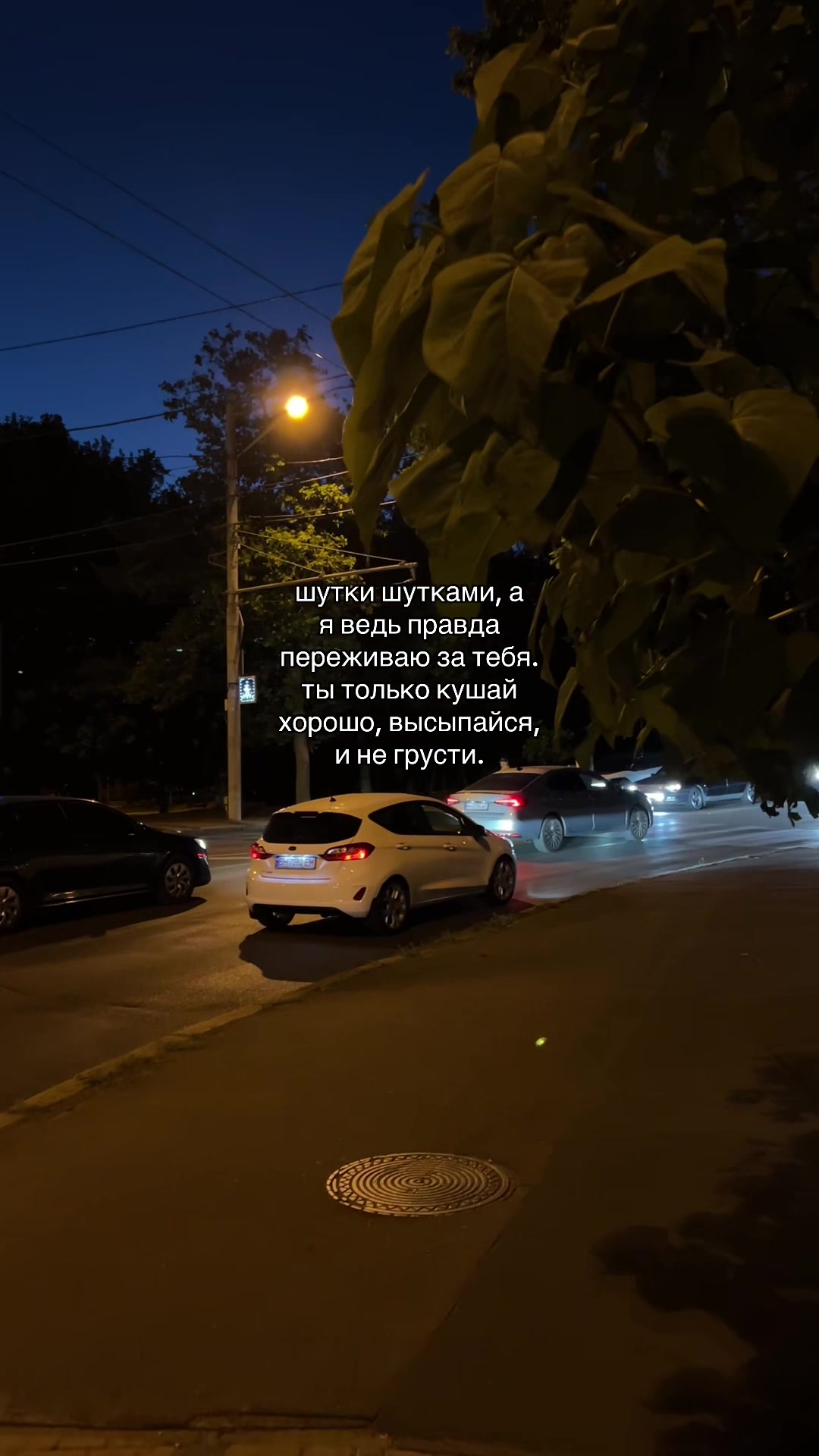 @кис кис💗