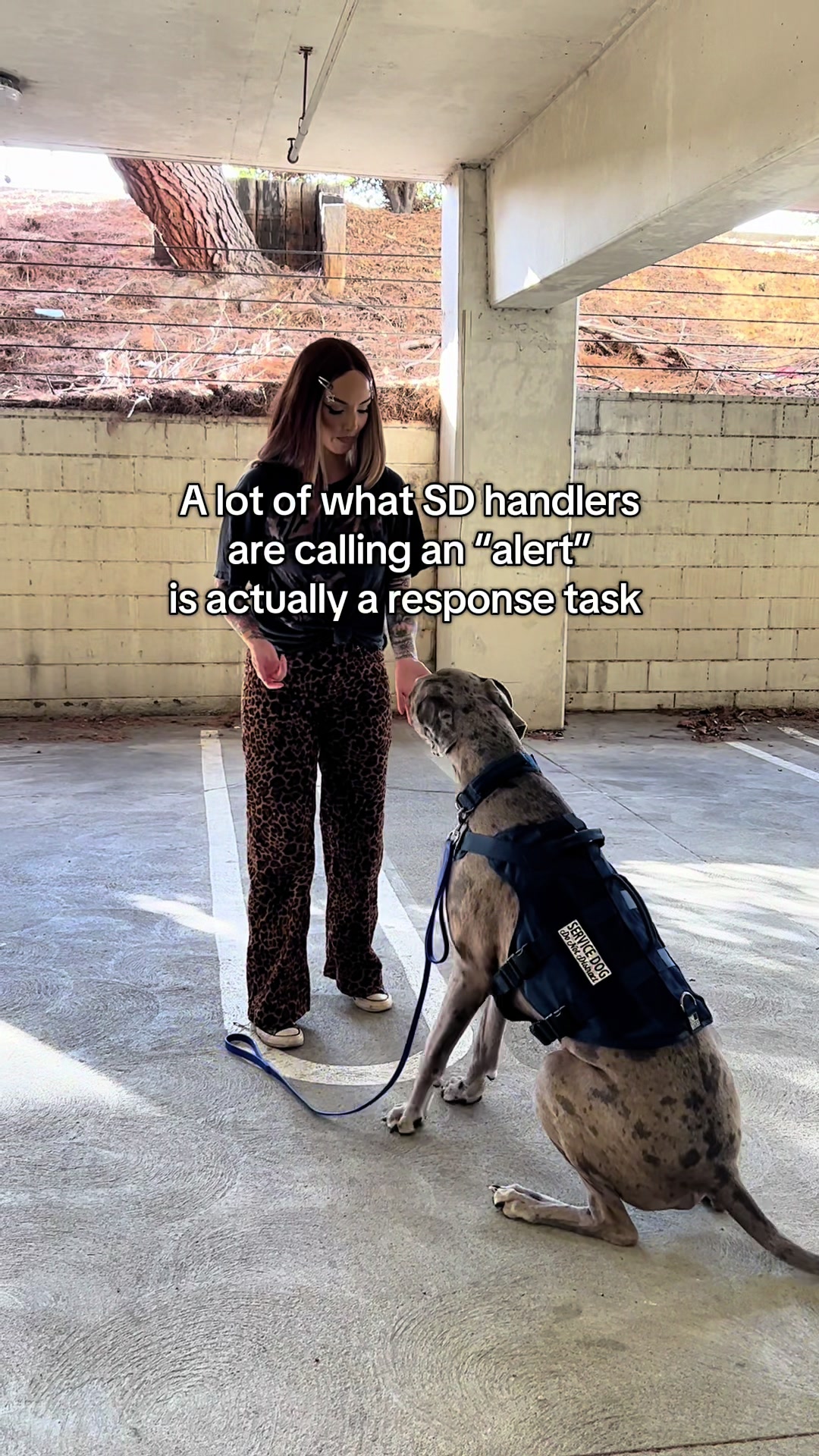@lex 🐺⛓️