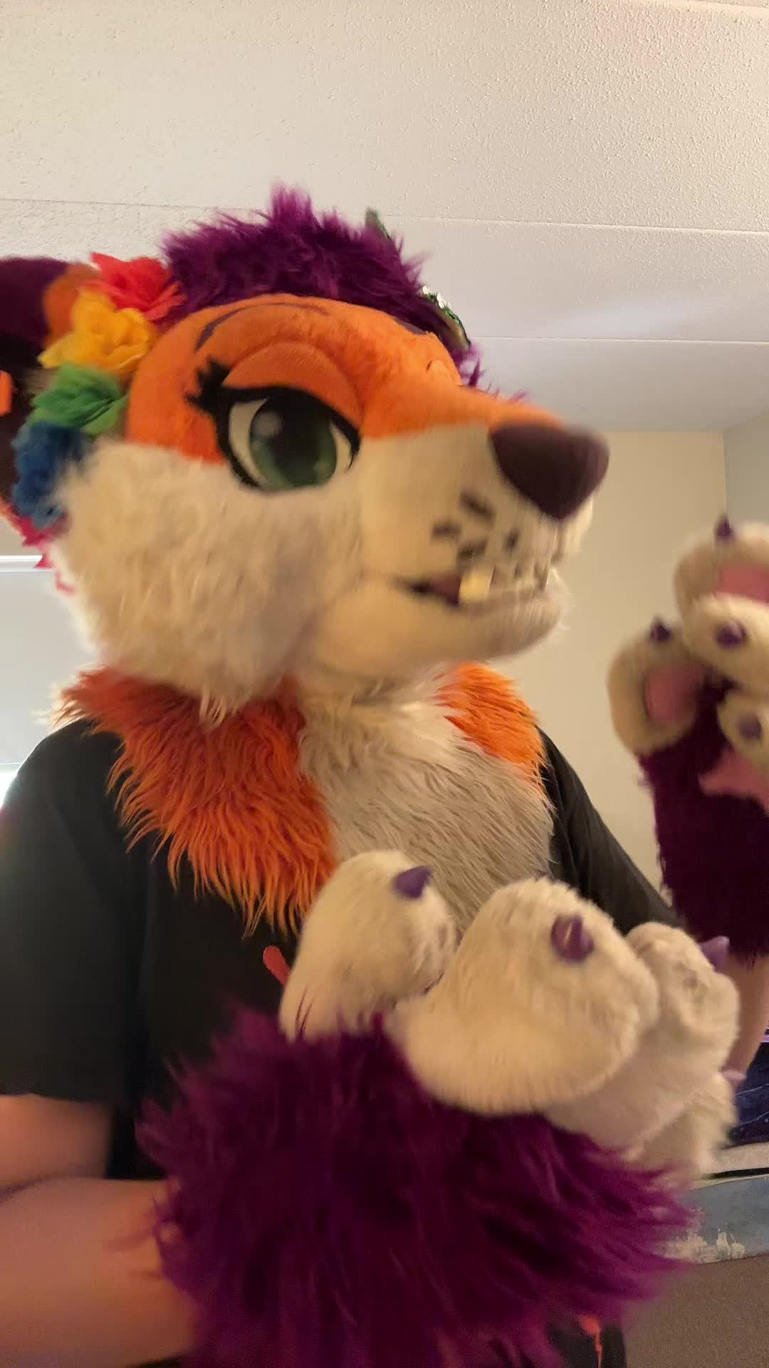 @ph0toshoot