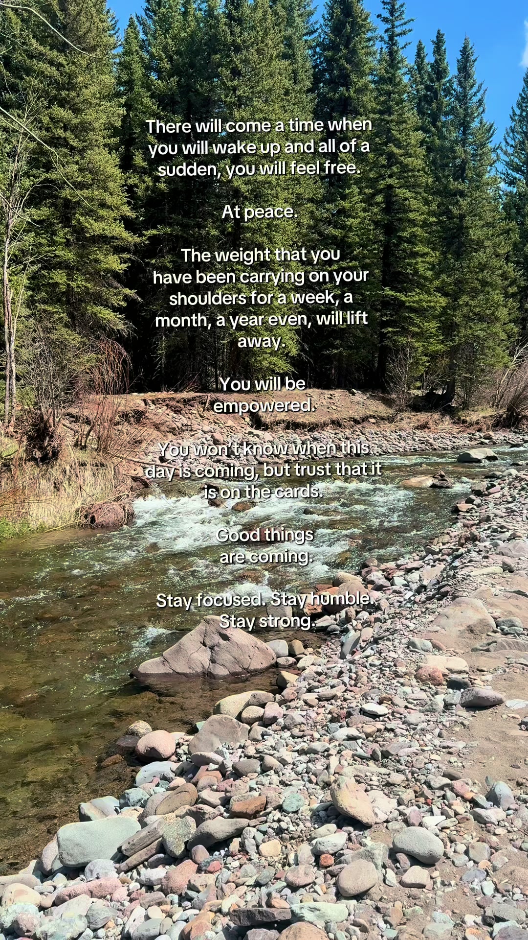 @Jasmin | A Rooted Life