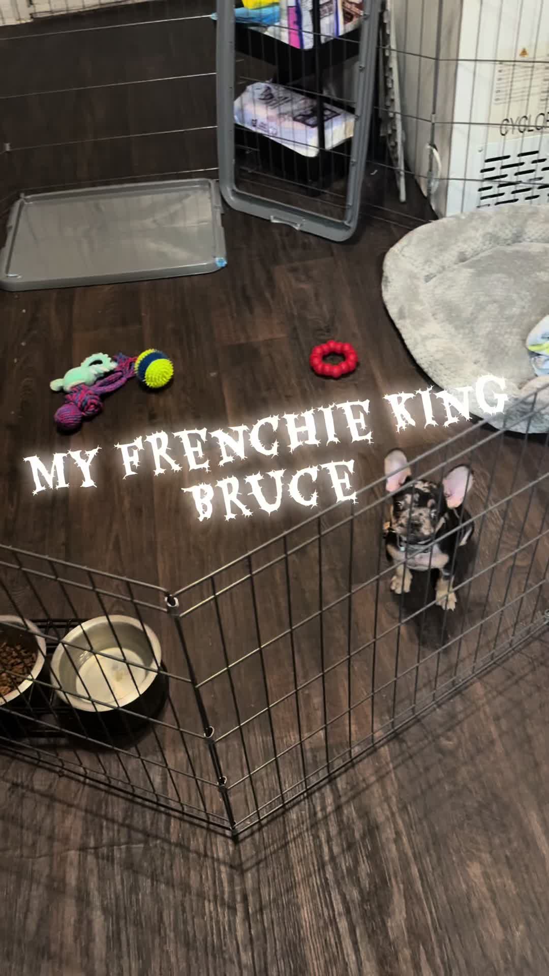 @Snatchinpride🏳️&zwj;🌈