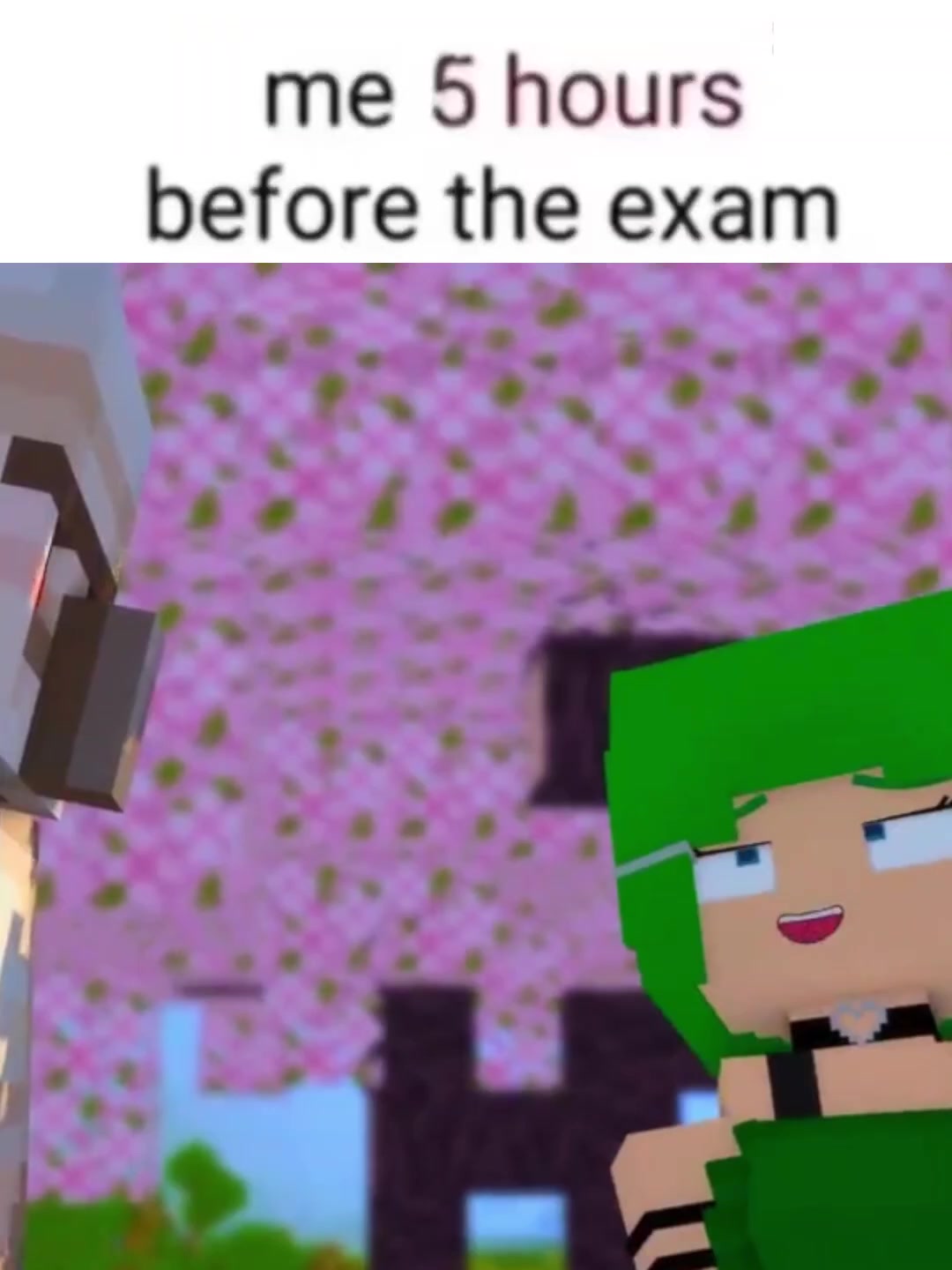 @Minecraft FAN 2026