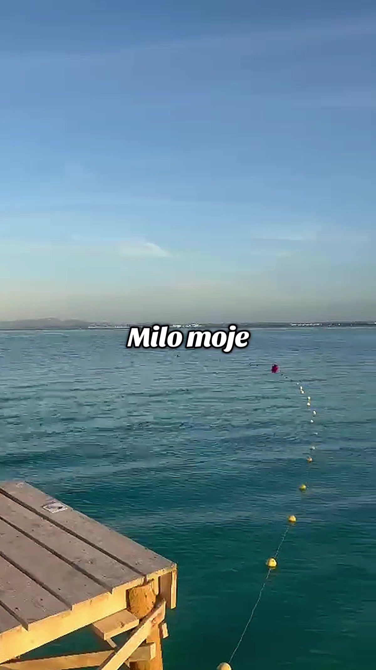 @✨mi-la✨