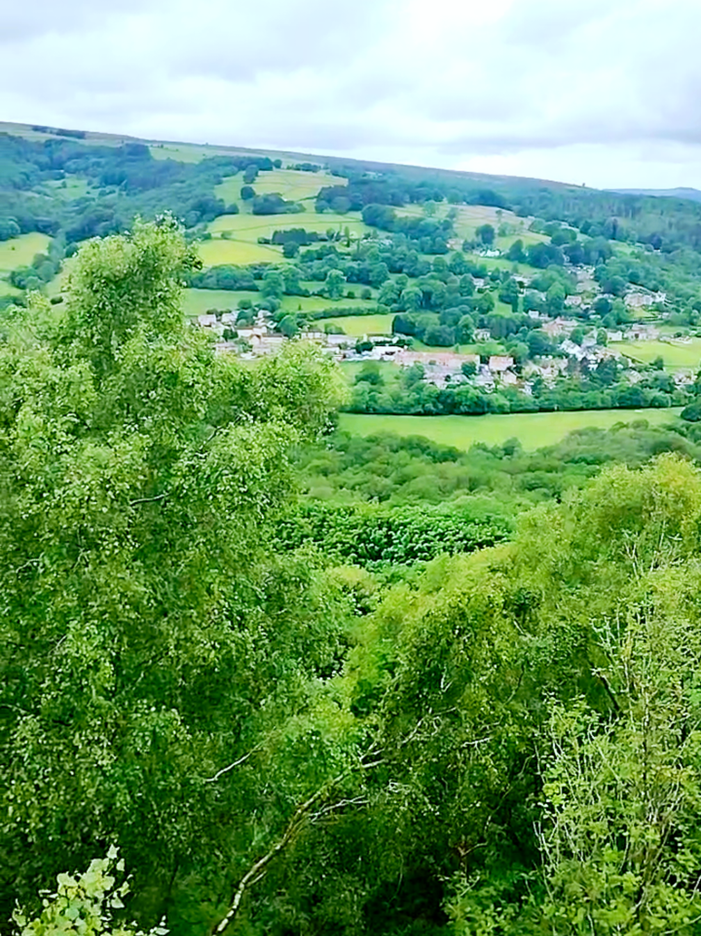 @desi shohlyدیسی شعلے