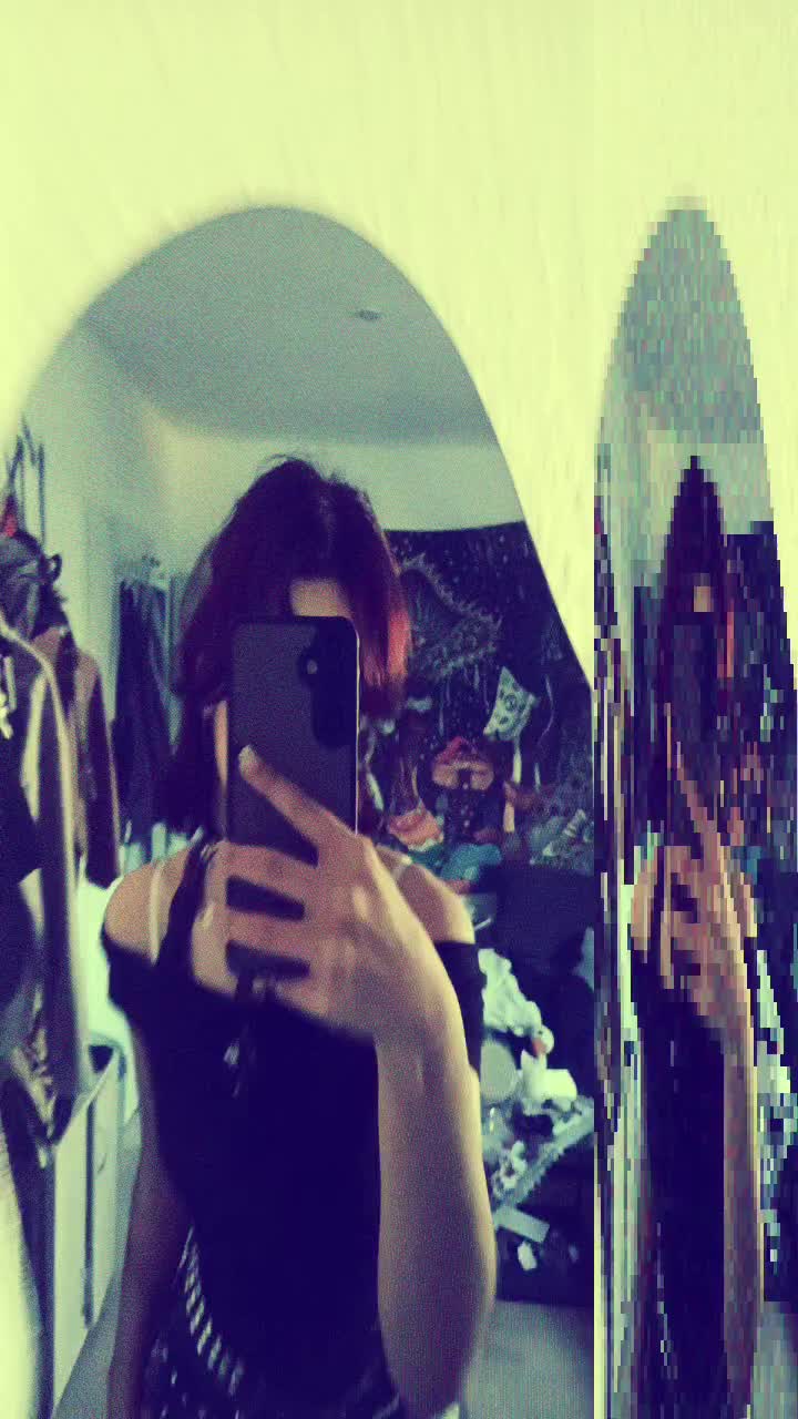 @🦈