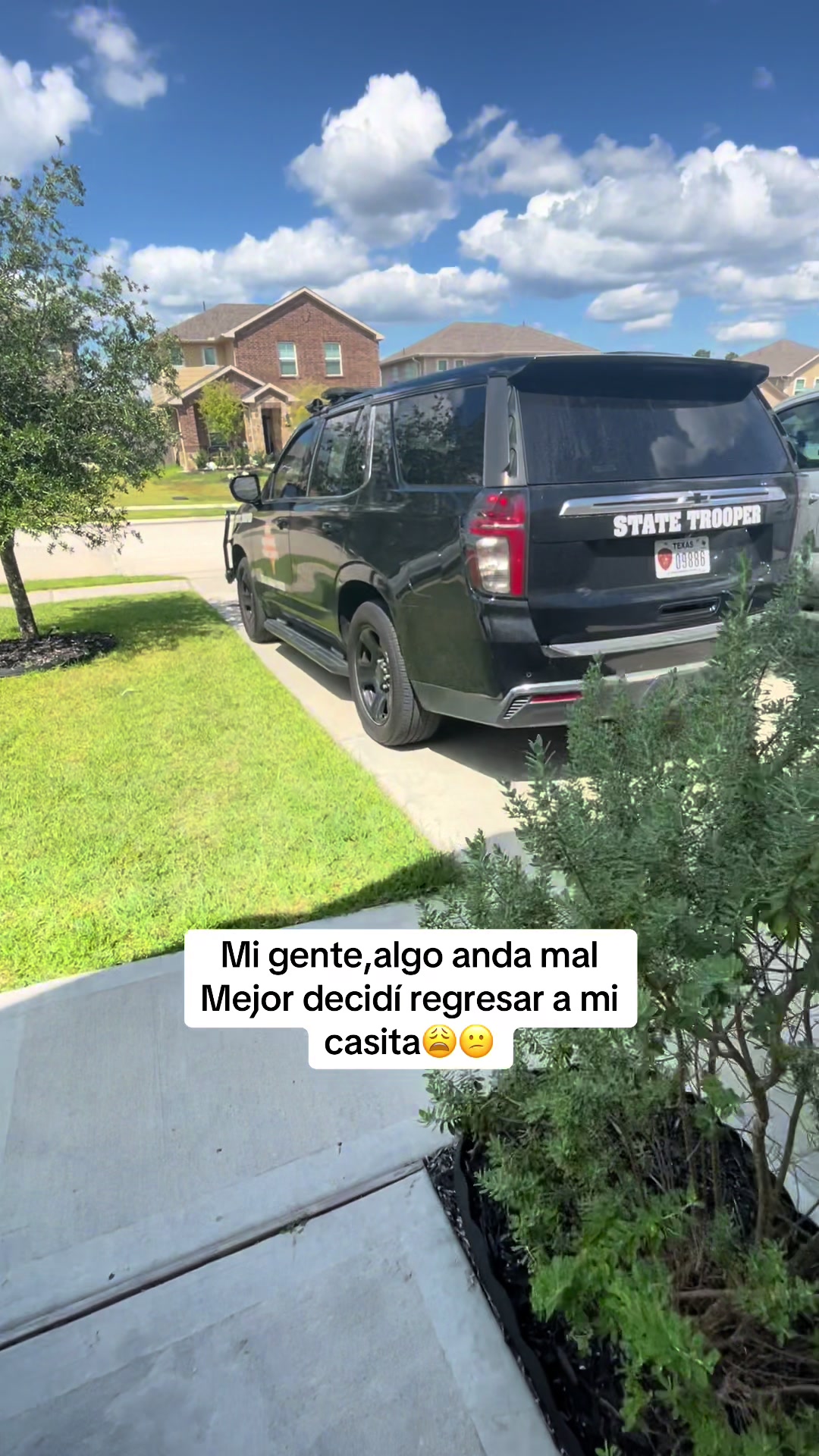 @𝐄𝐥 𝐩𝐨𝐥𝐥𝐨 