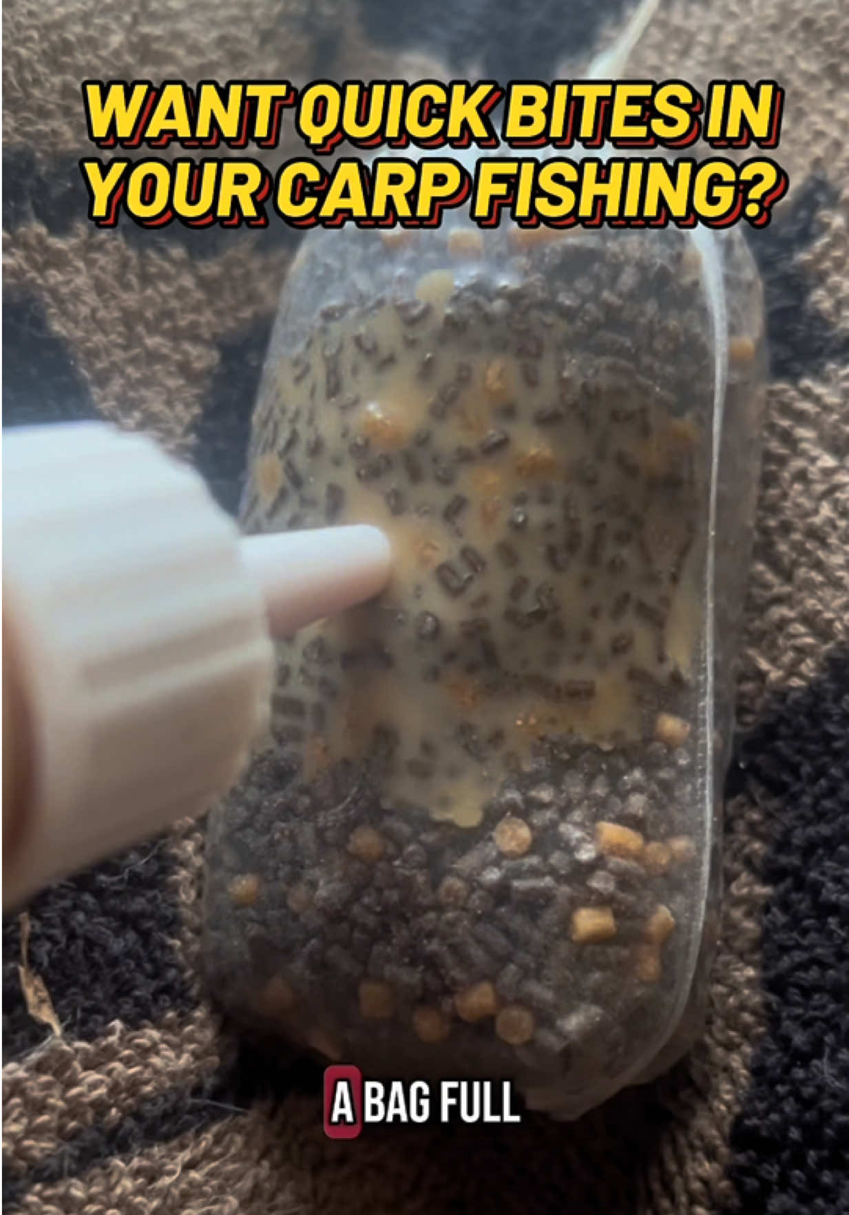 @CarpAddict