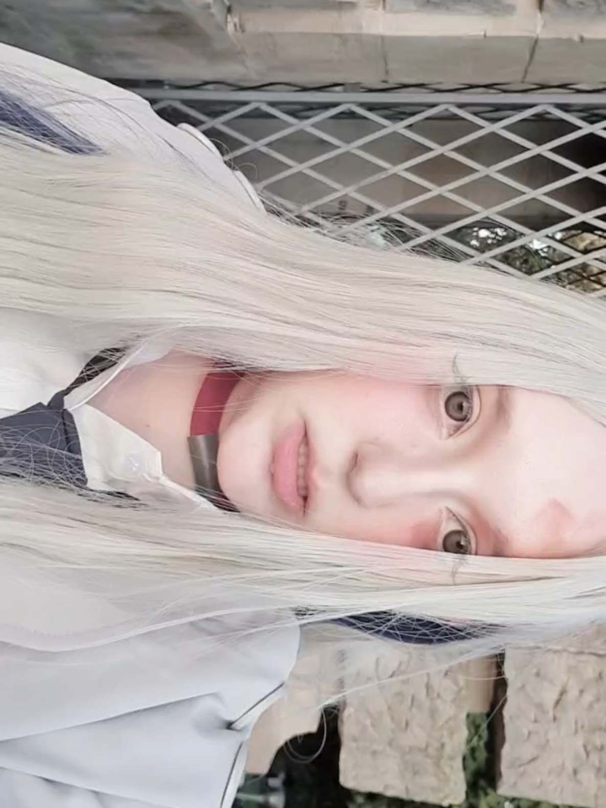 @୨୧ ℓυηα ˚₊·