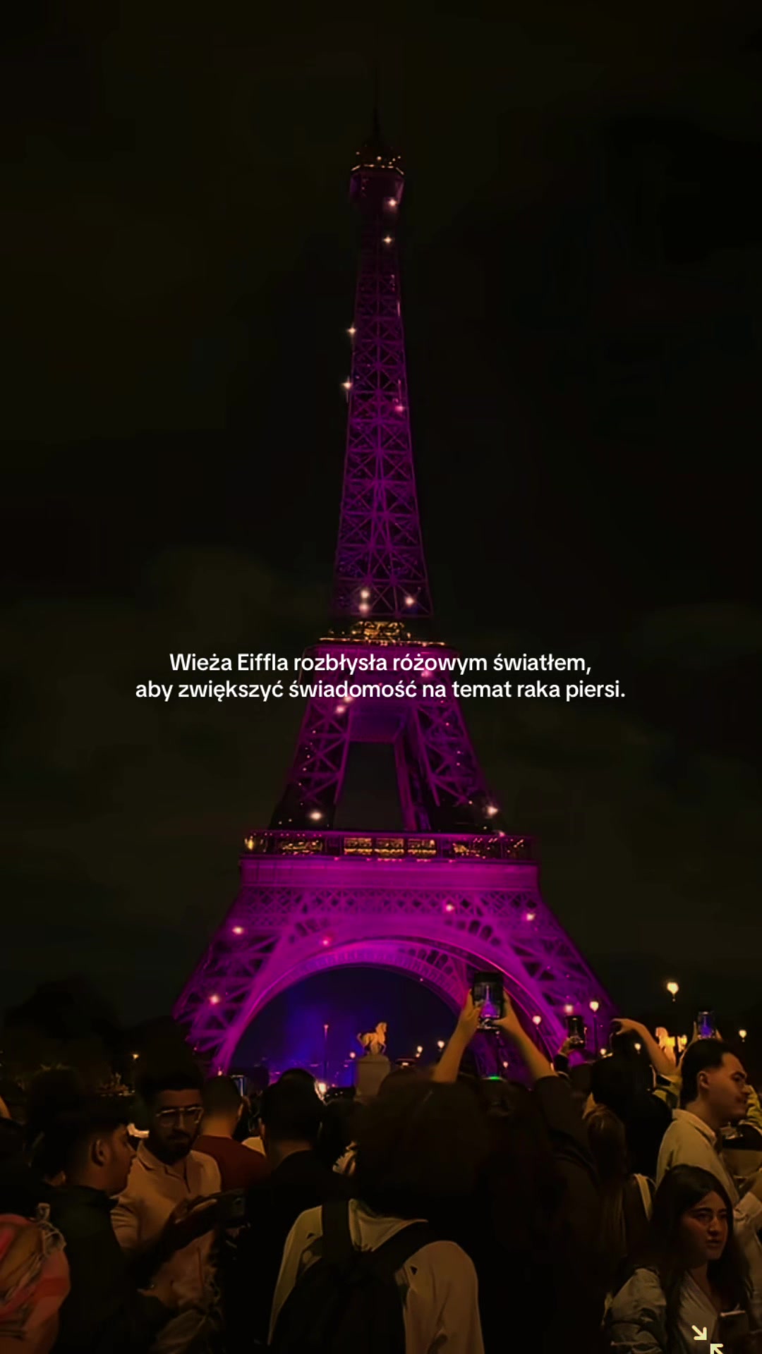 @EndoMona🎗️