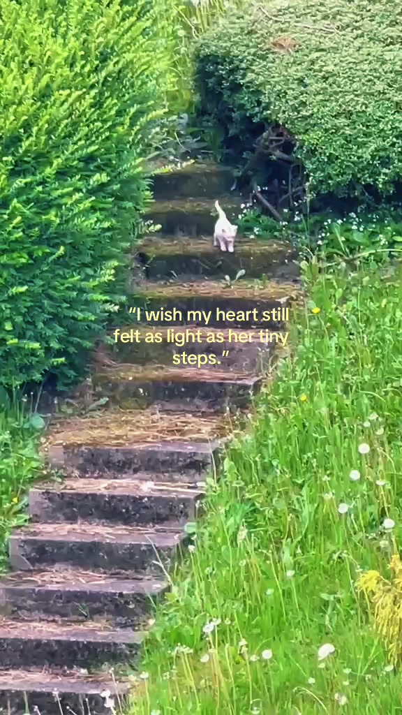 @love27