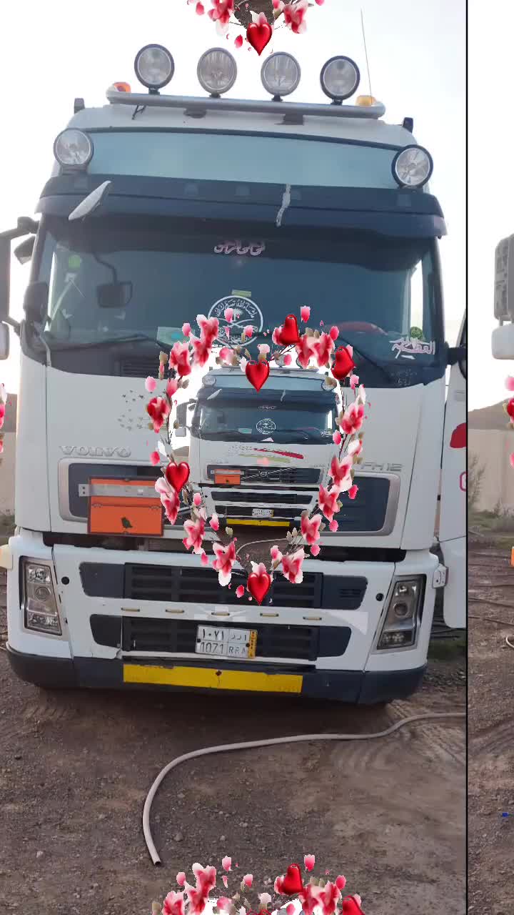 @الصقر اليماني