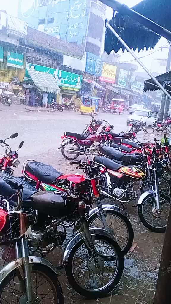 @Punjab