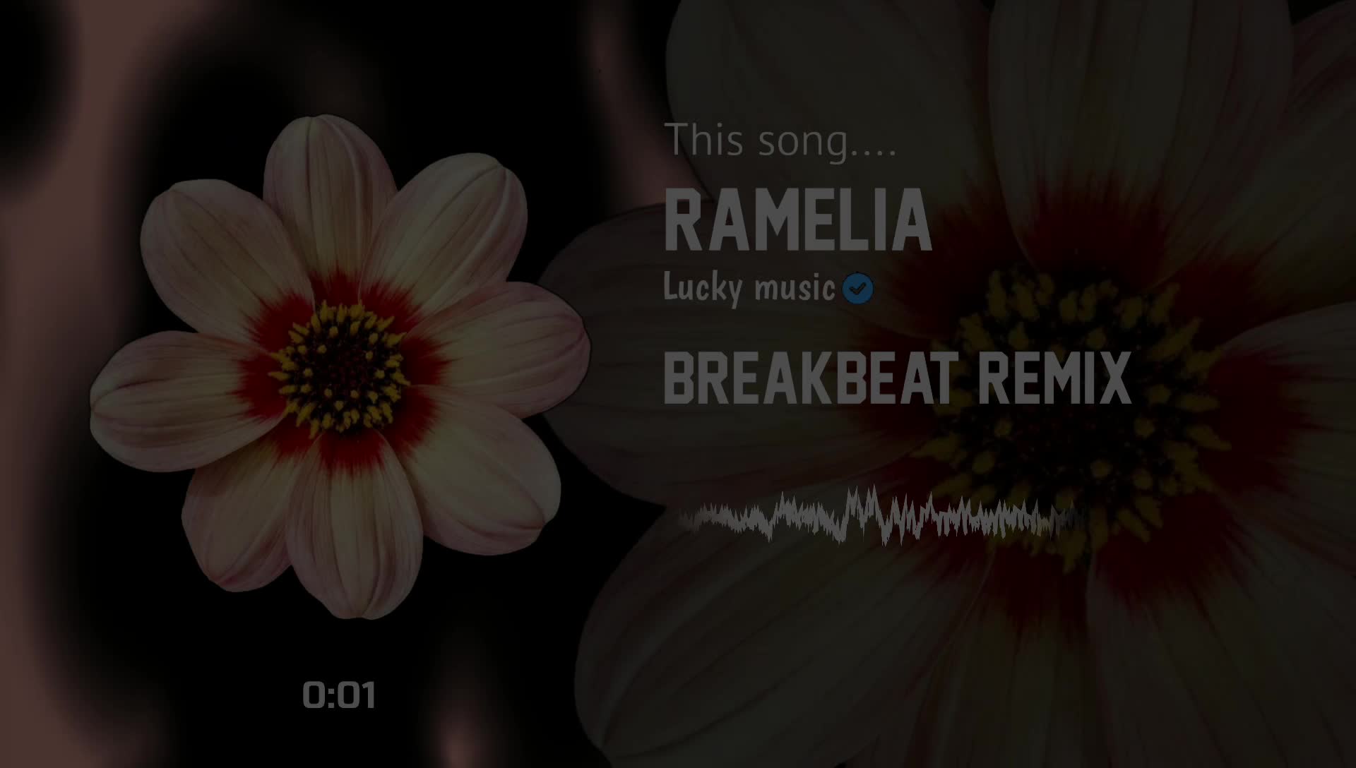 @Lucky Music