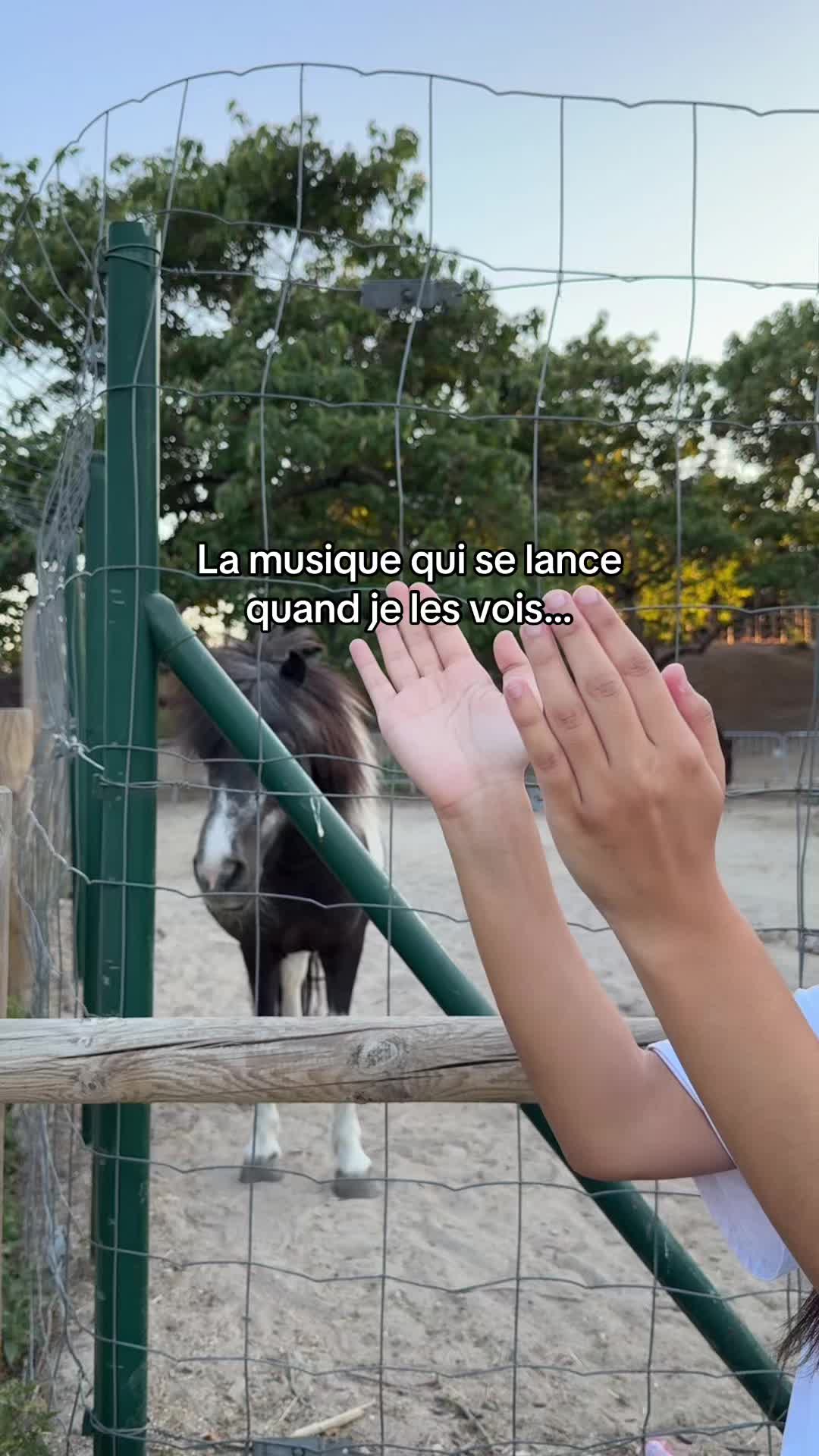 @Ceevibee