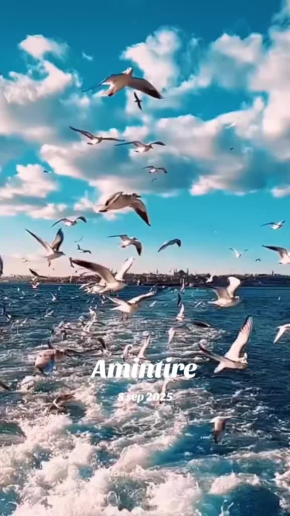 @🦁rikidemeter57🦁