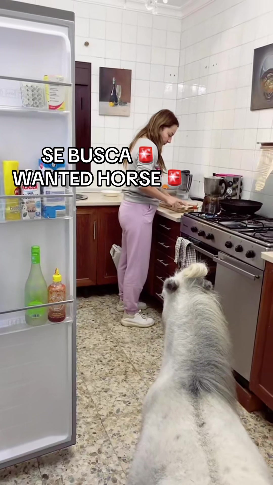 @Blanka Satora