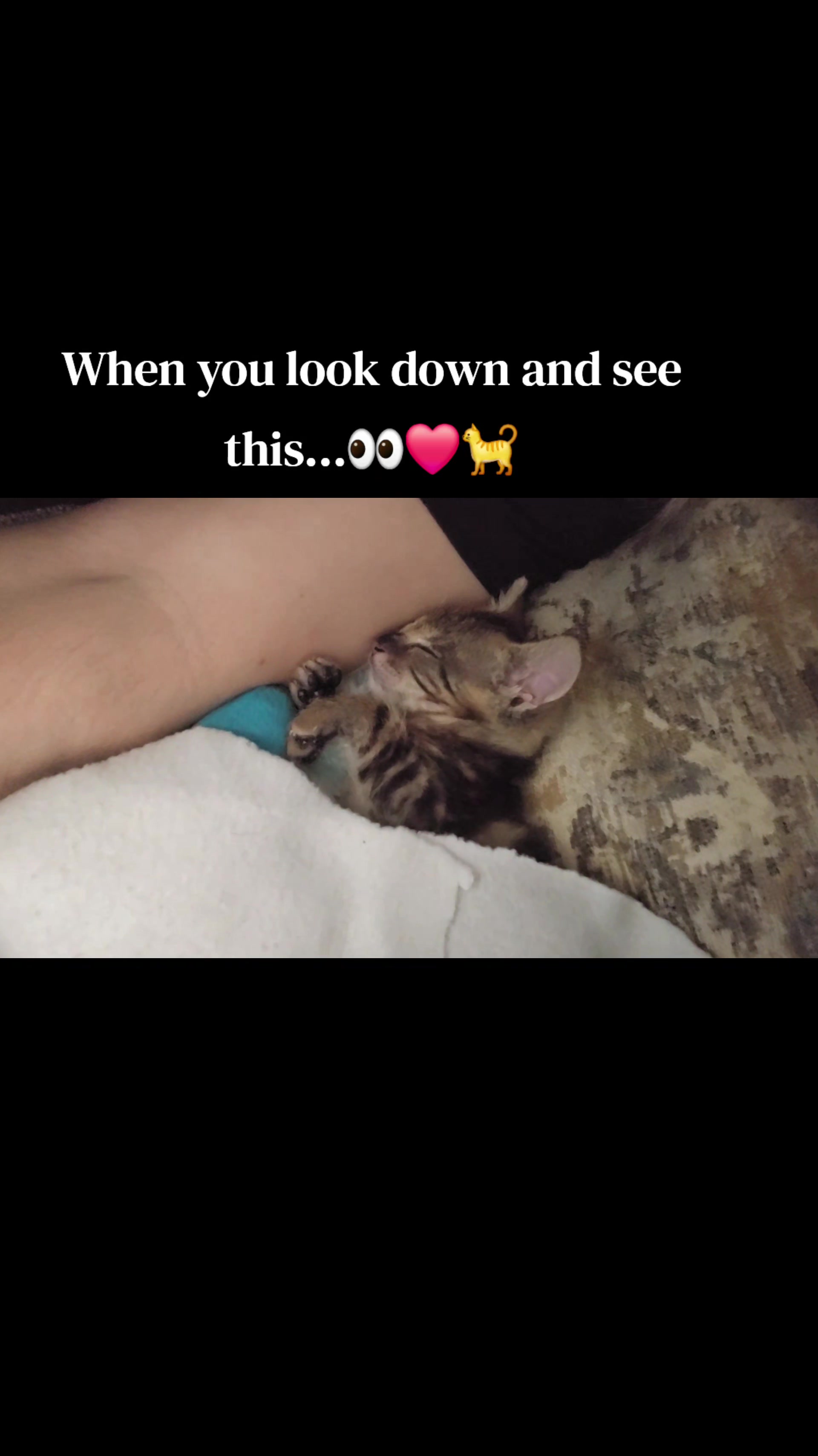 @Nicole