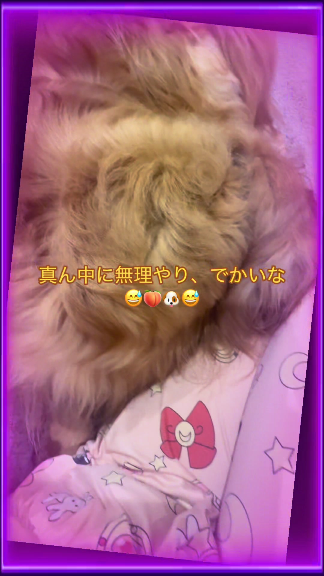 @ACIKA🇯🇵🇲🇨MOMO🍑🐶