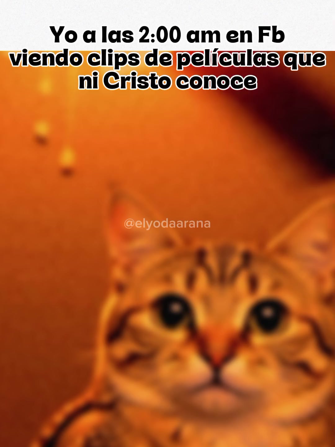 @Elyodaarana