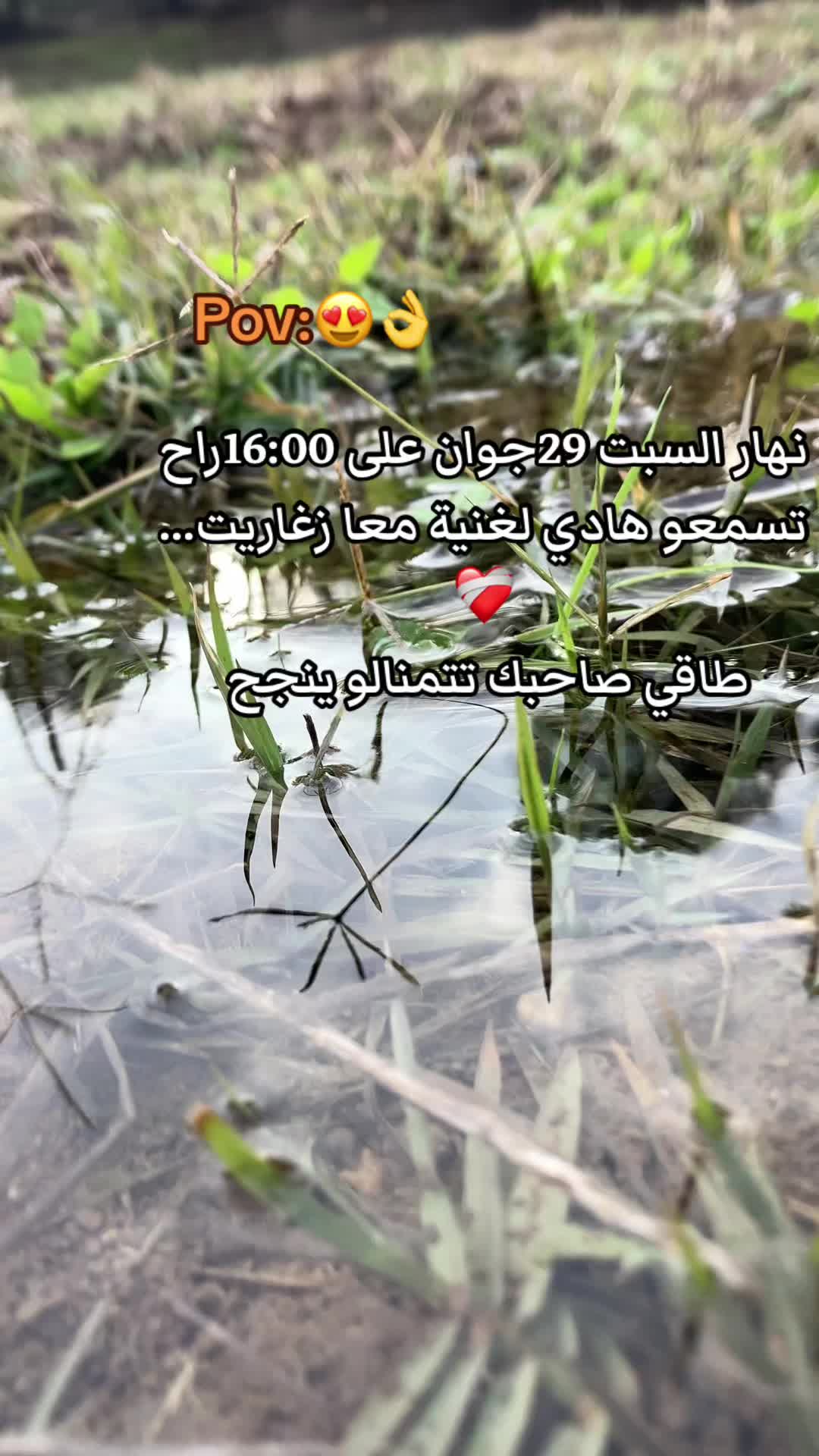 @Mouutaz Mouutaz
