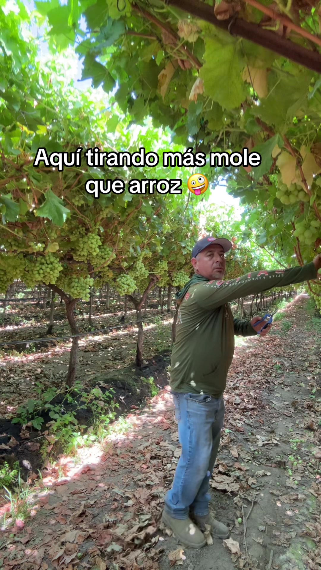 @Gustavo