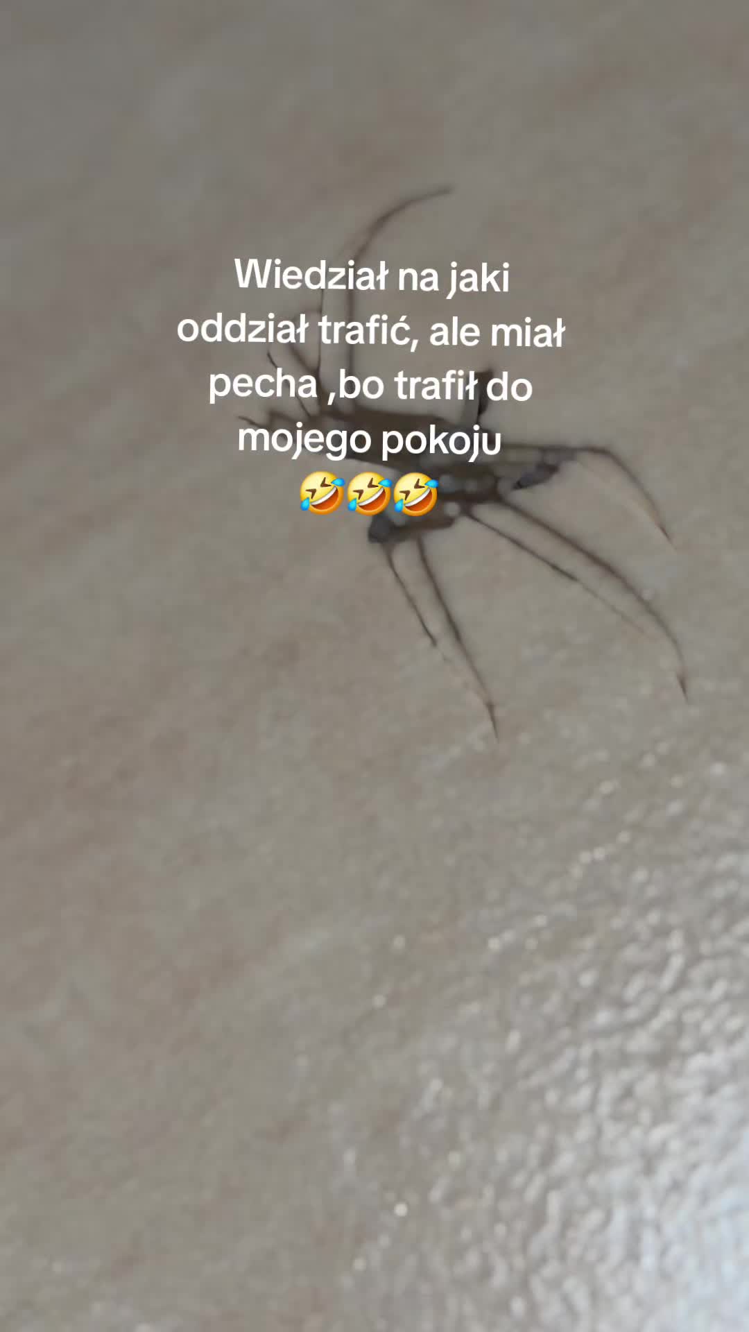 @😈ℤ𝕠Ł𝕫𝔸❤️🔥🍷