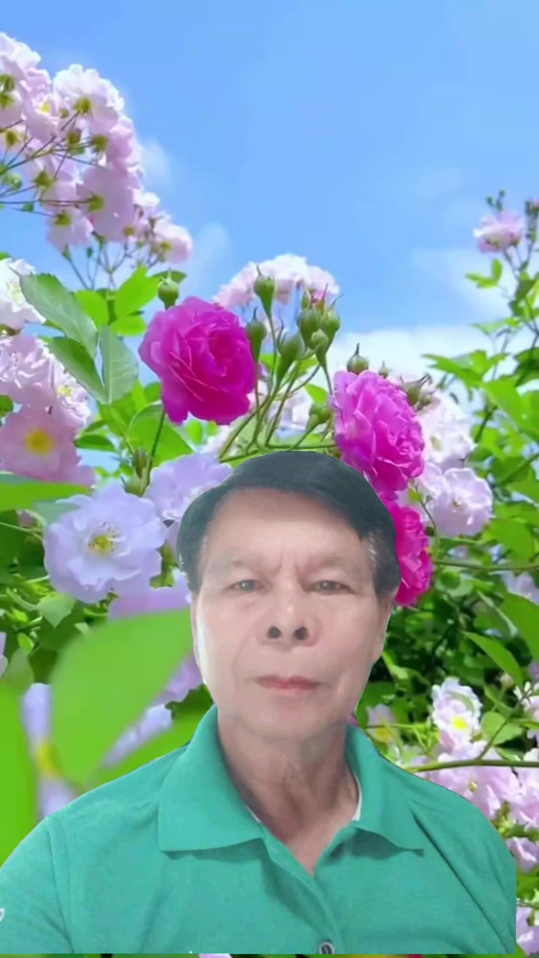 @เพชร ชมภู