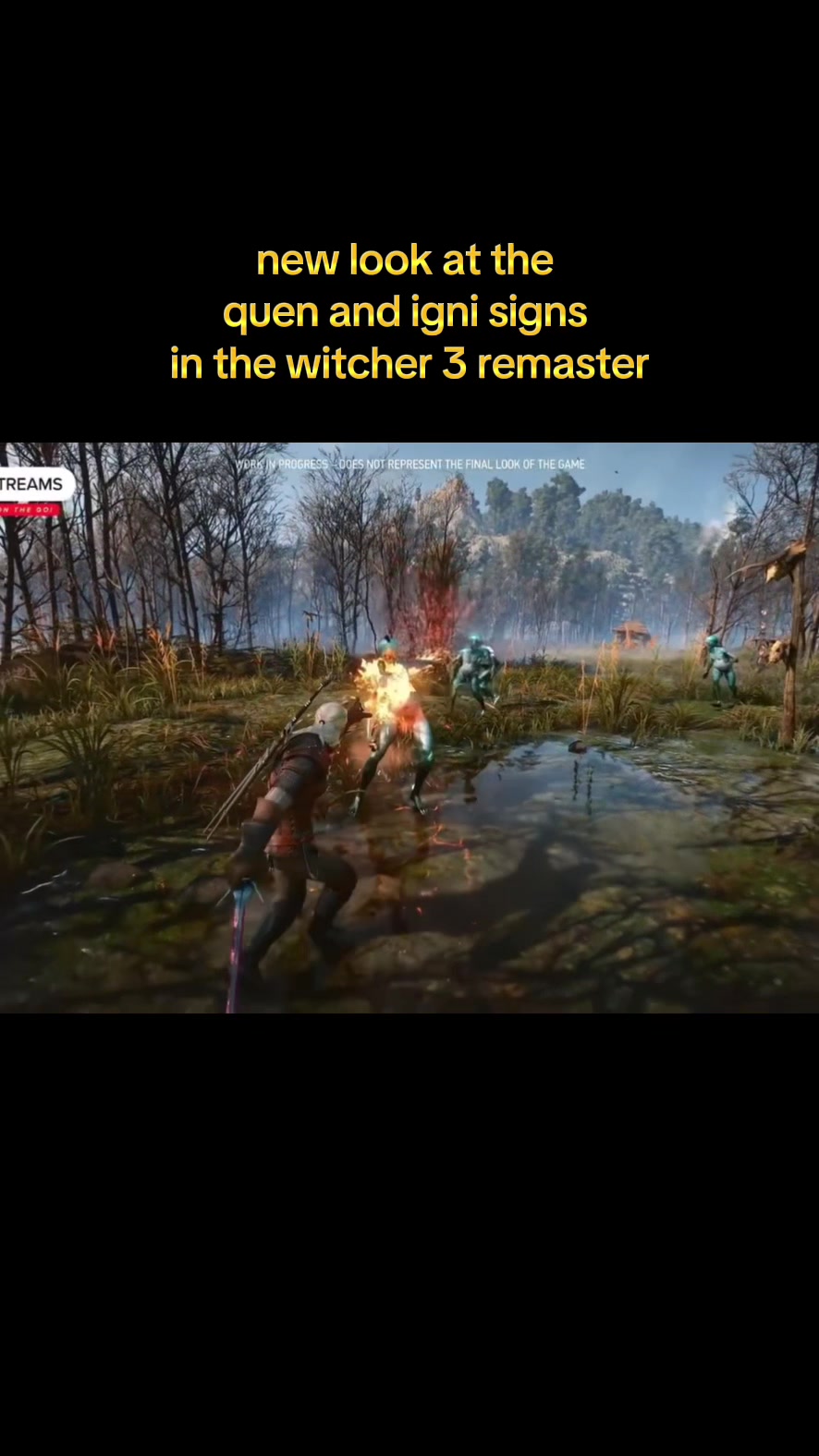 @witcherenthusiast