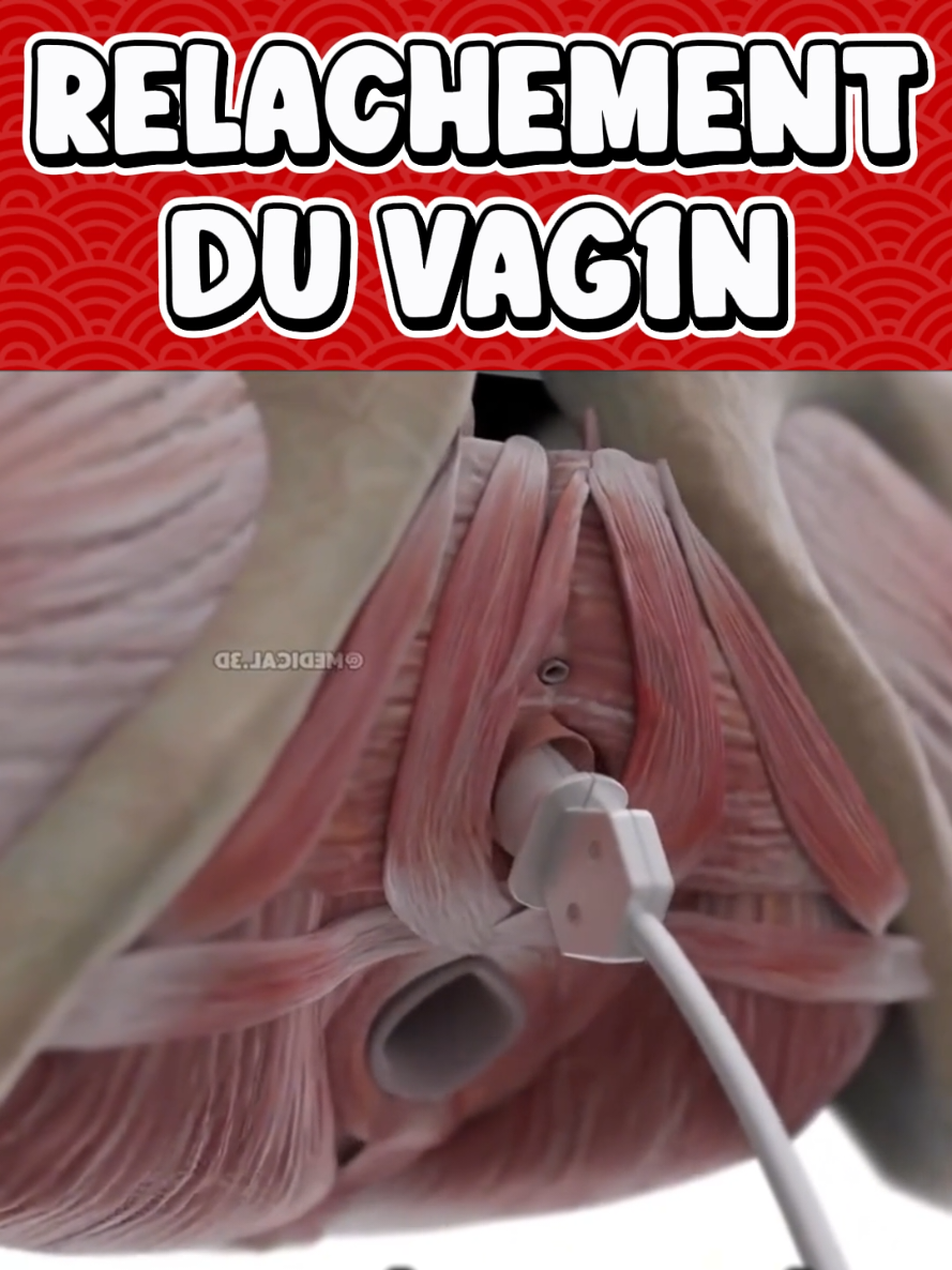 @Docteur Shepherd