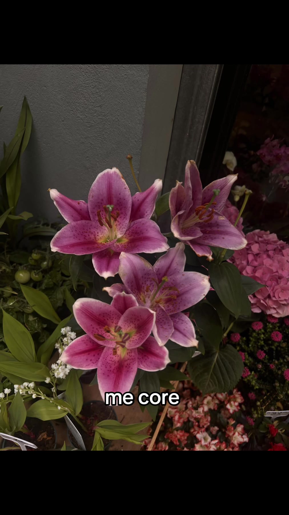@omgvoltageous