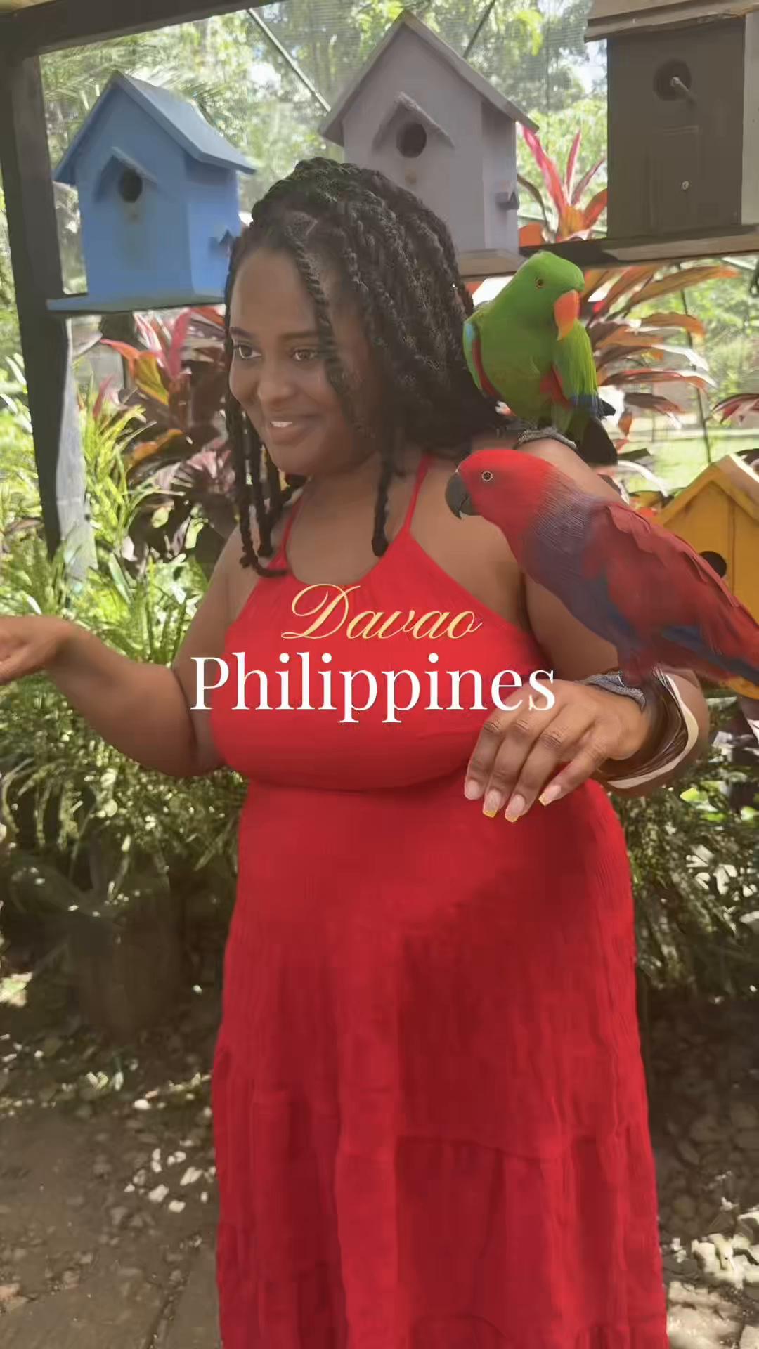 @thetravelista__fnp