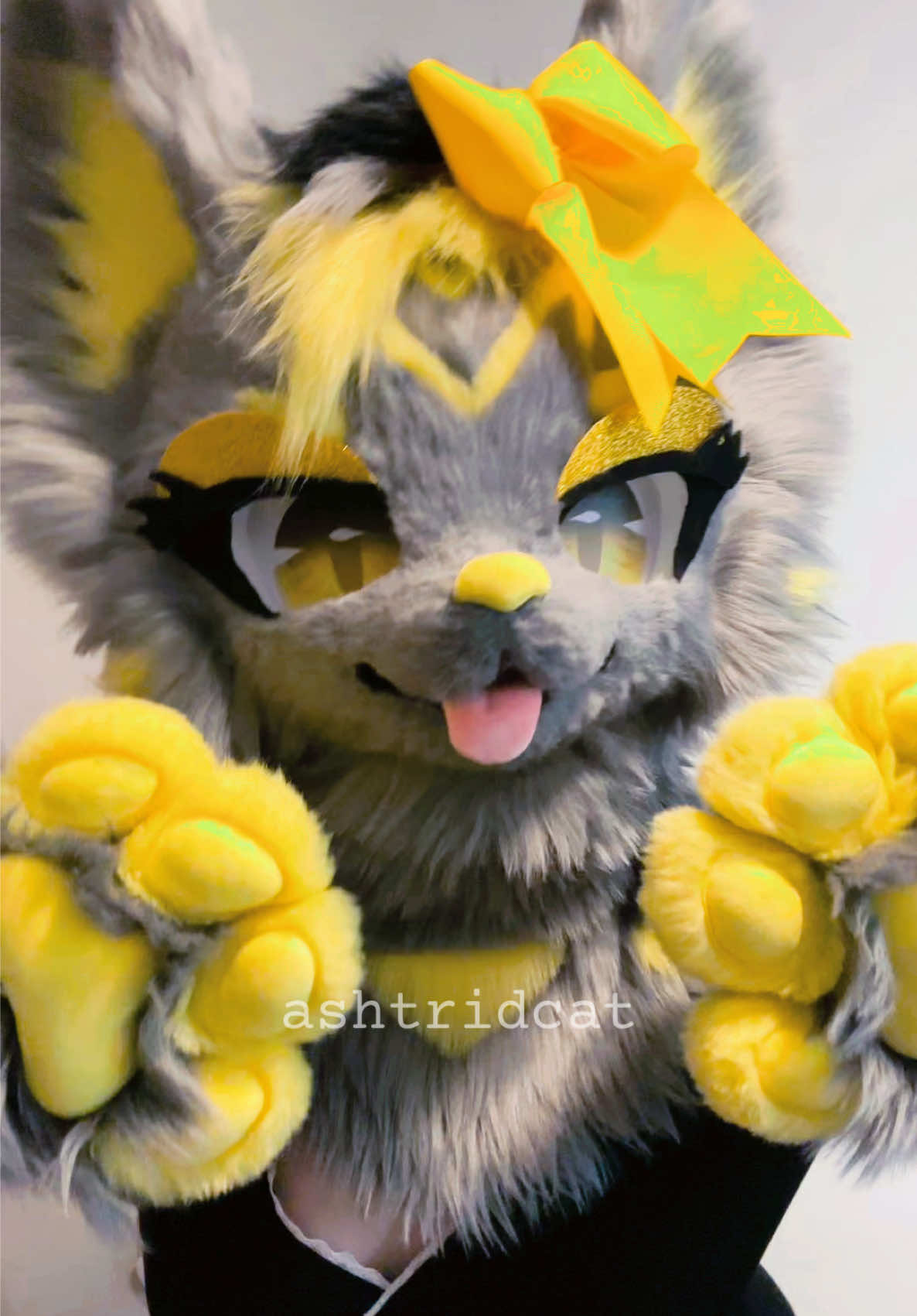 @AshtridCat