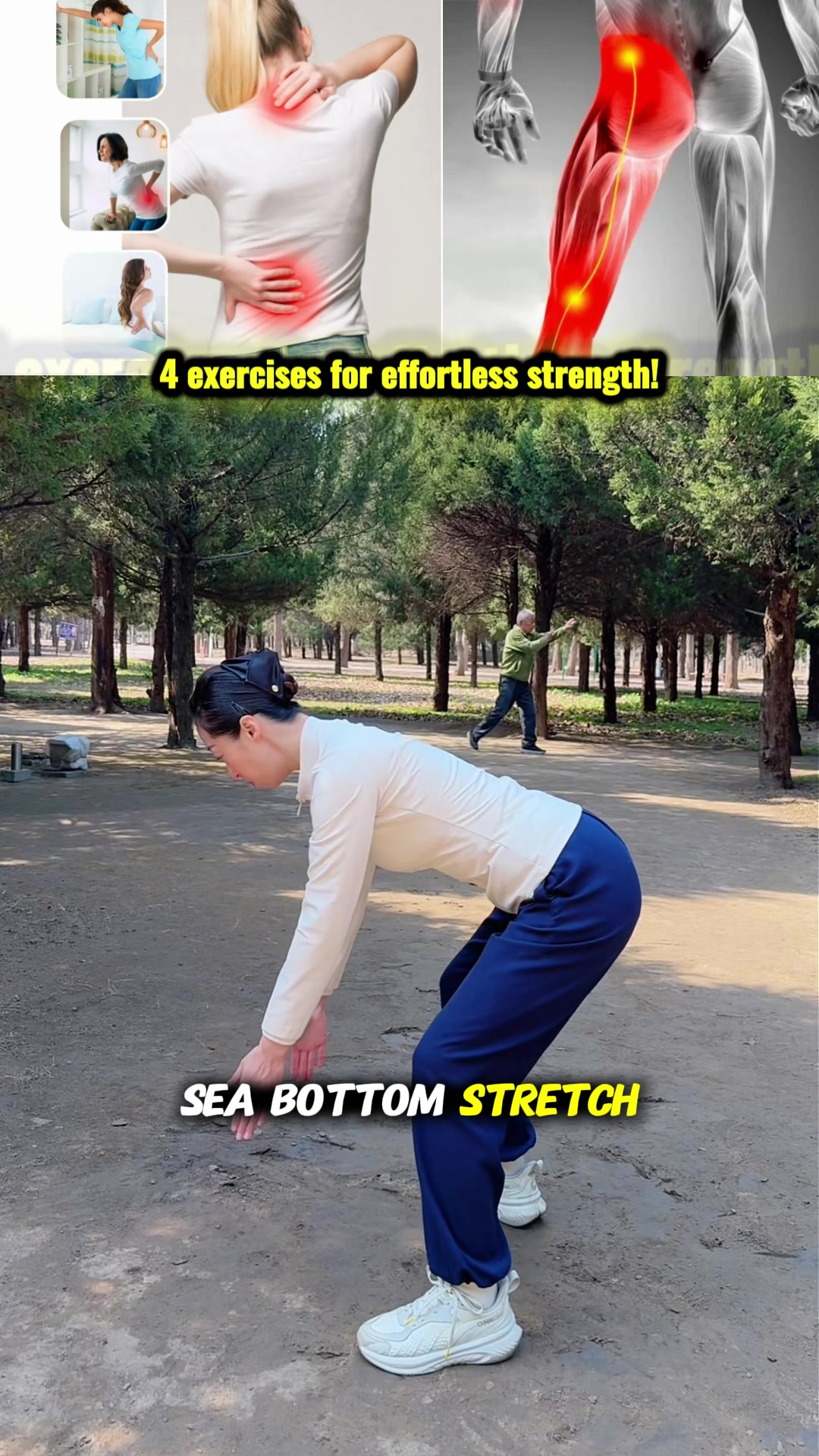 @Palhealthtm