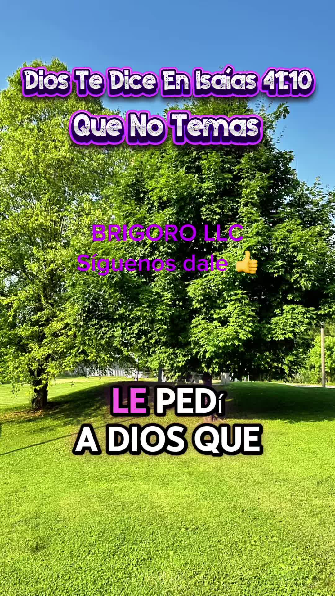 @brigororv
