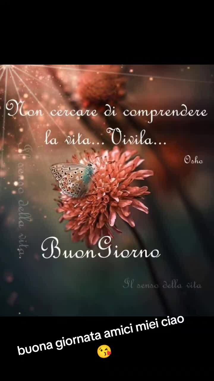@Caterina.Zanni204
