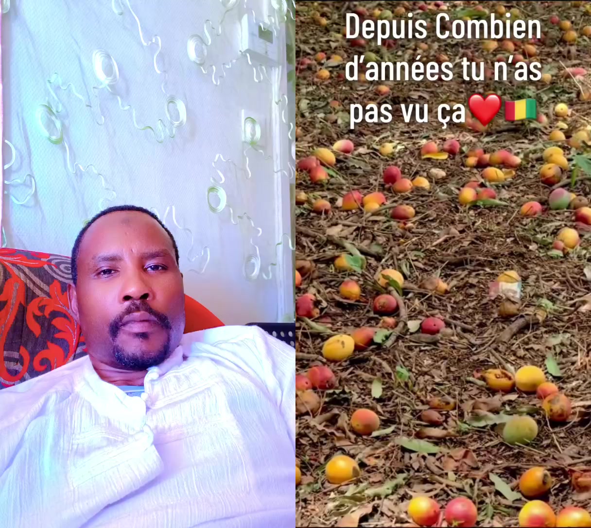@moubarak