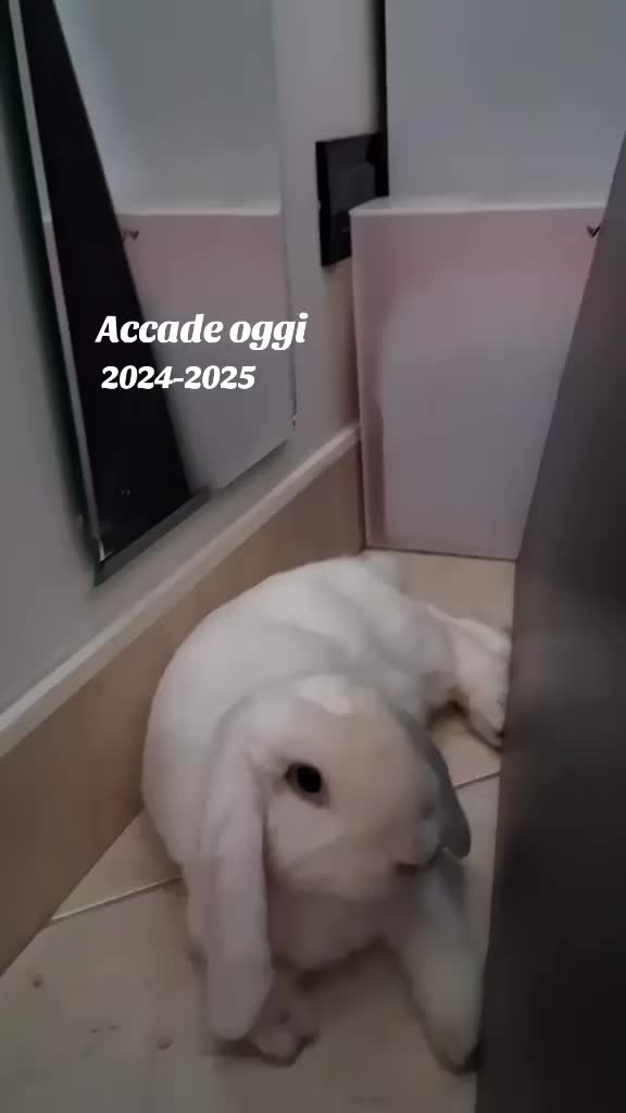 @super Signora dei tarocchi 💪