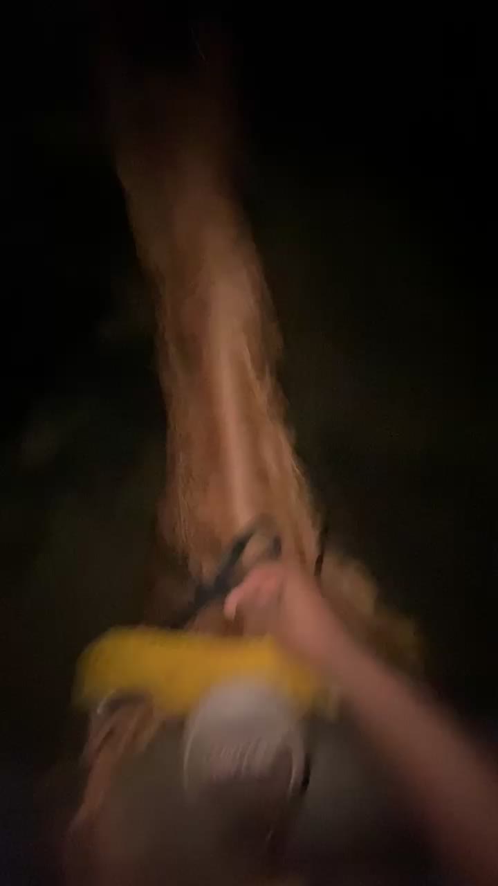 @likountrysosmovee🤠.