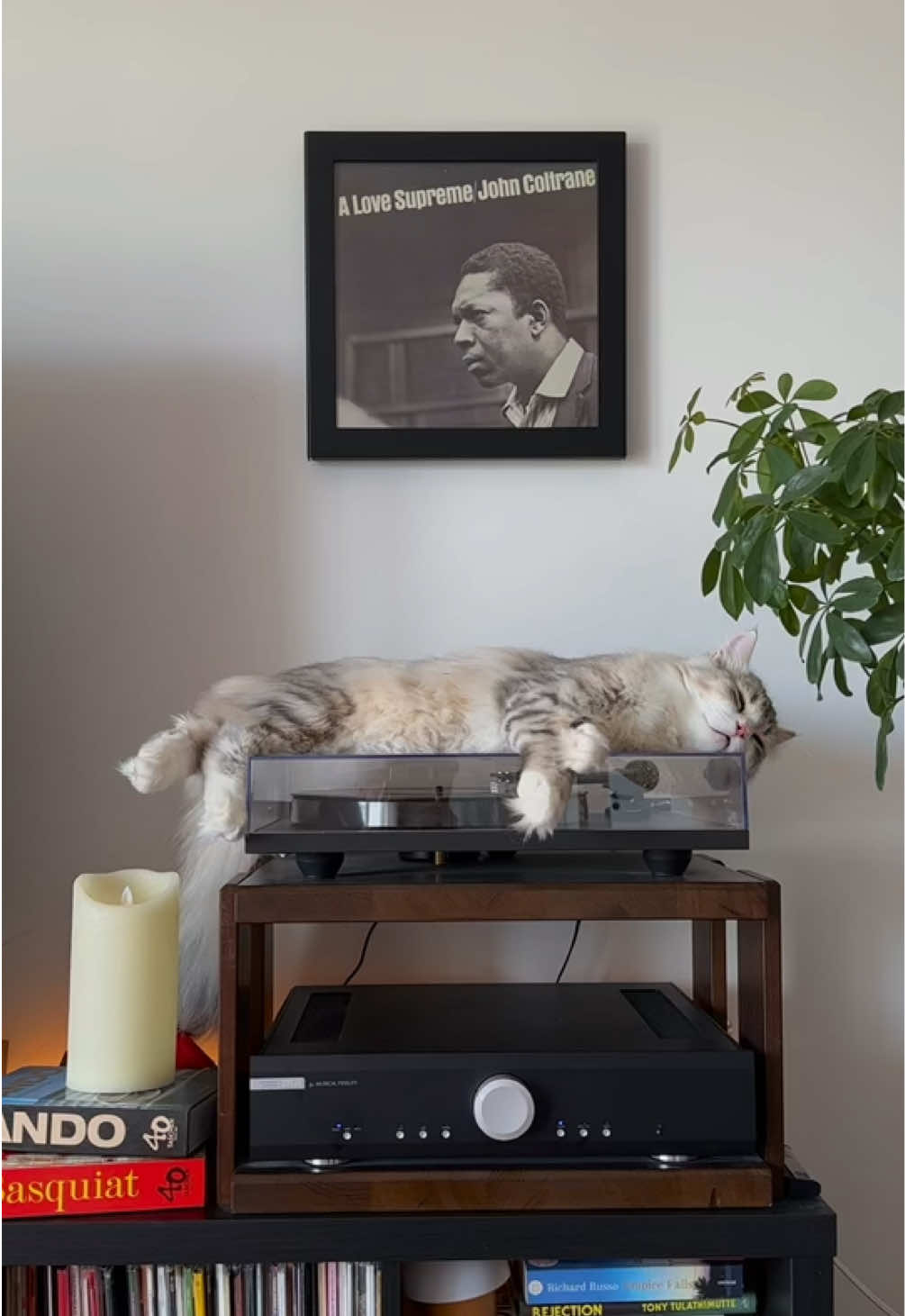 @Leon The Vinyl Cat