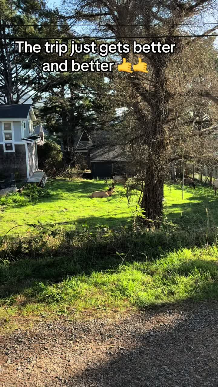 @Creed Stoneworks