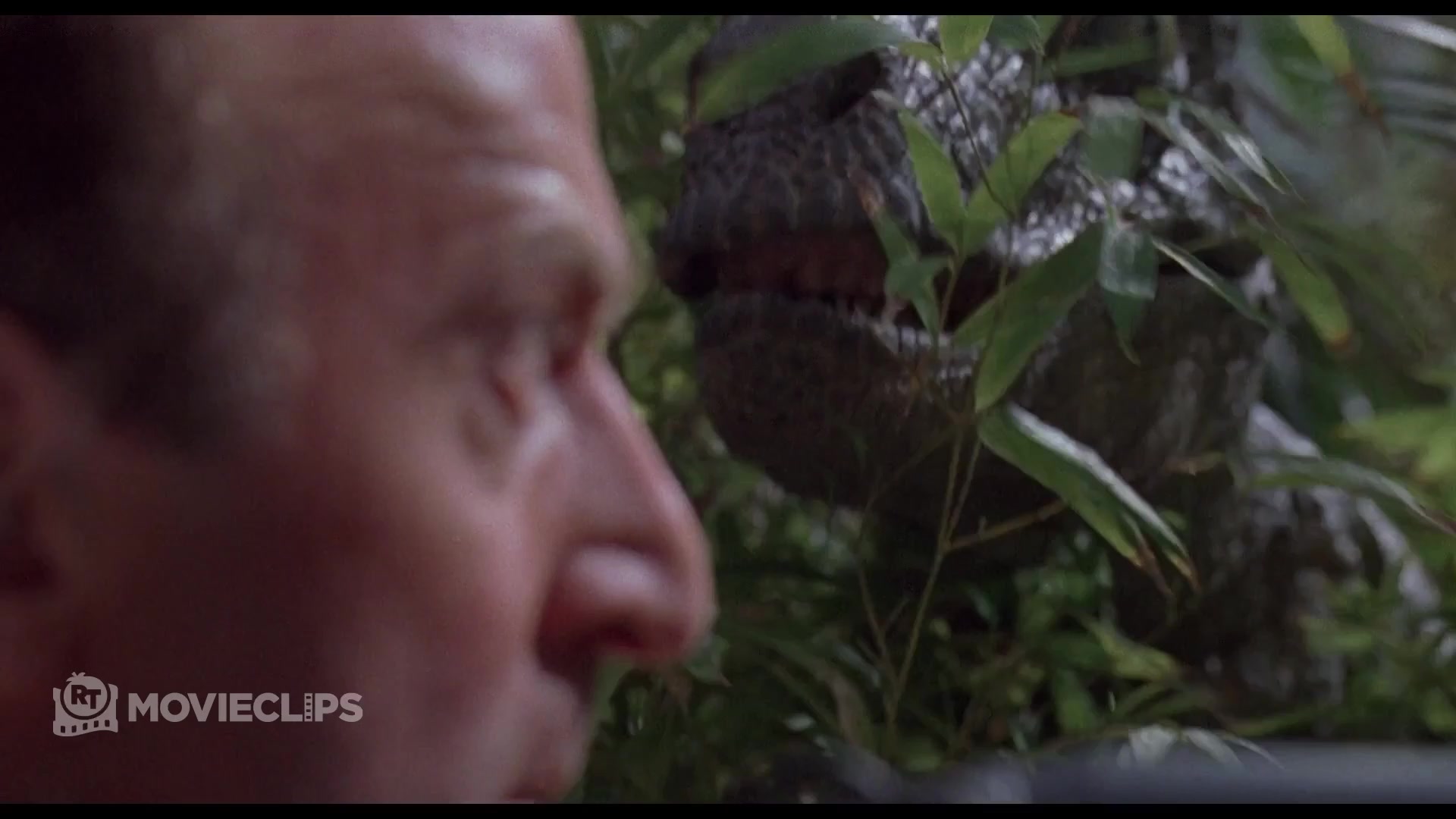@Movieclips