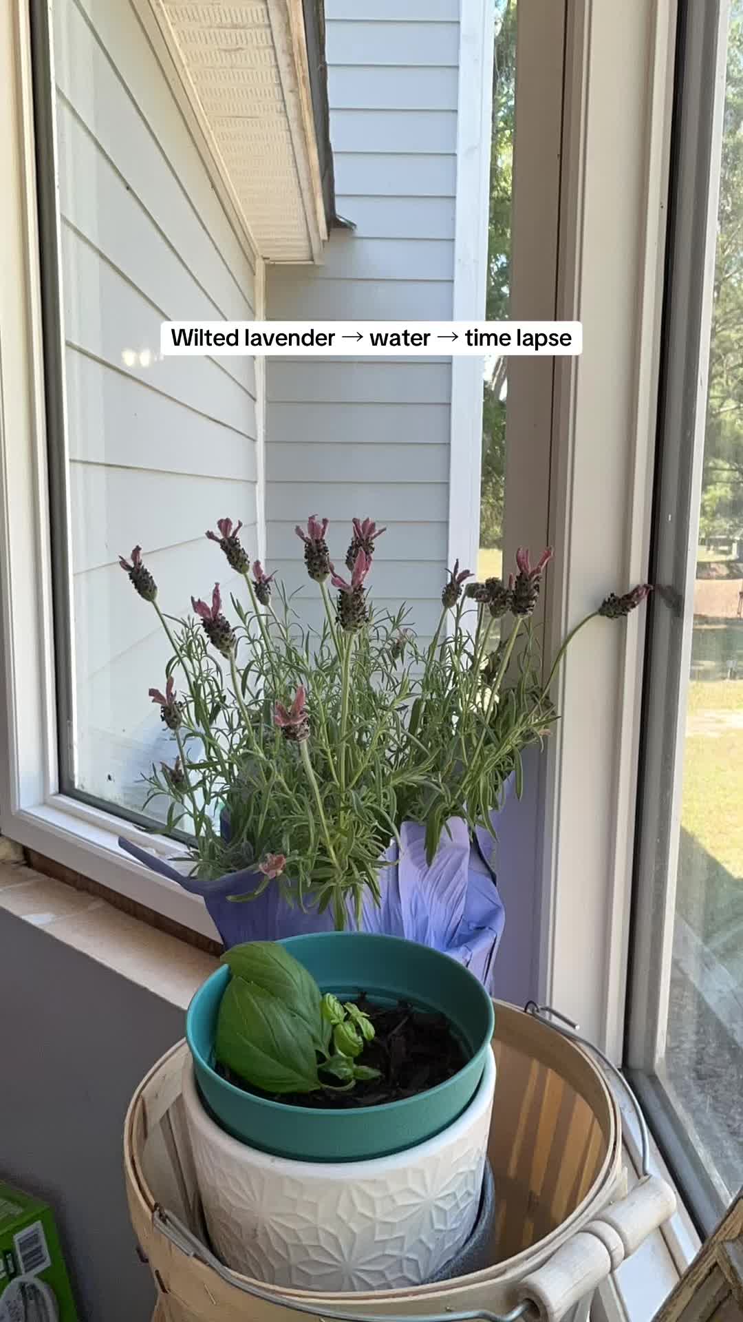 @CrenshawFarms
