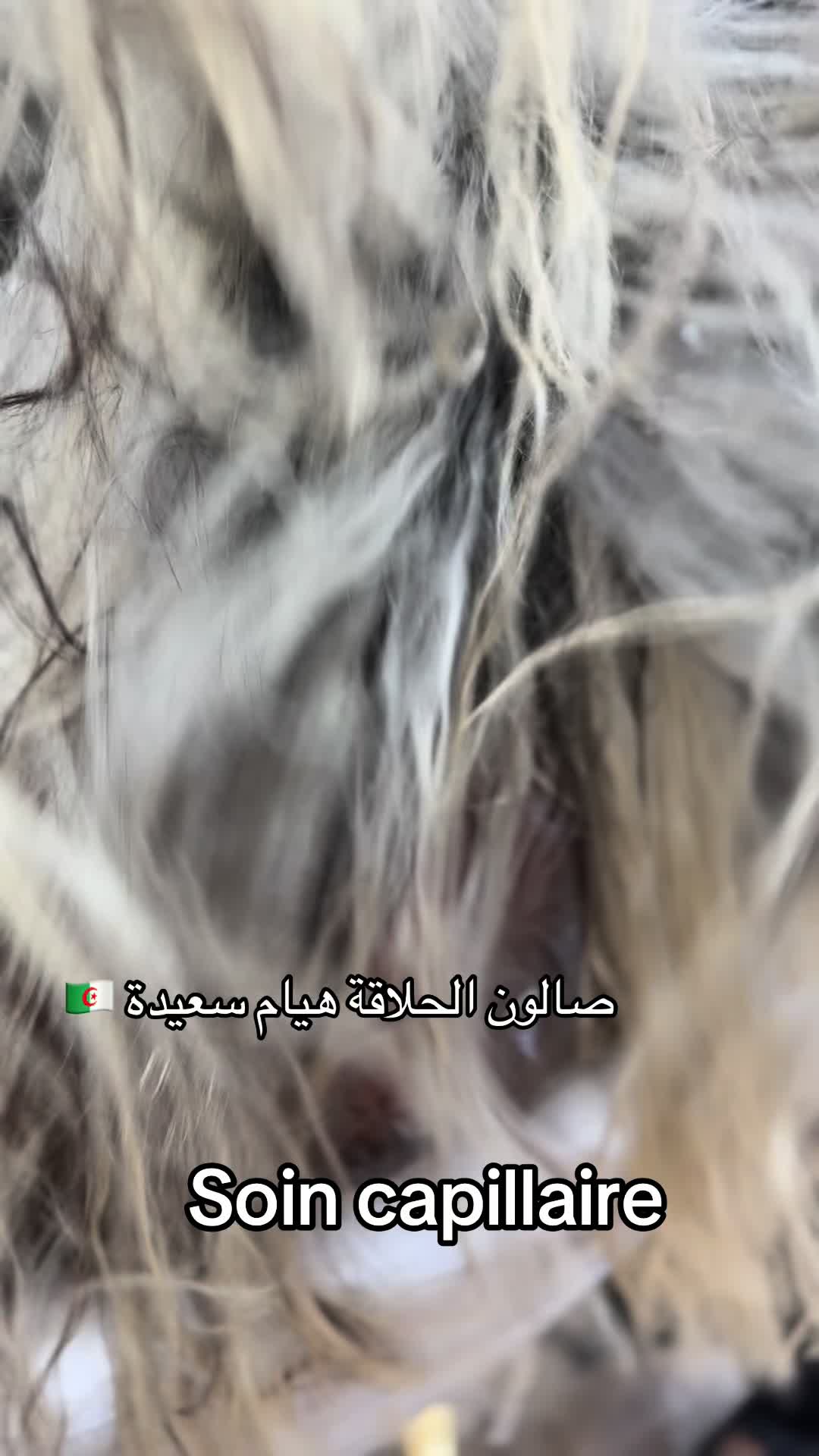 @Jojo Saidi 20